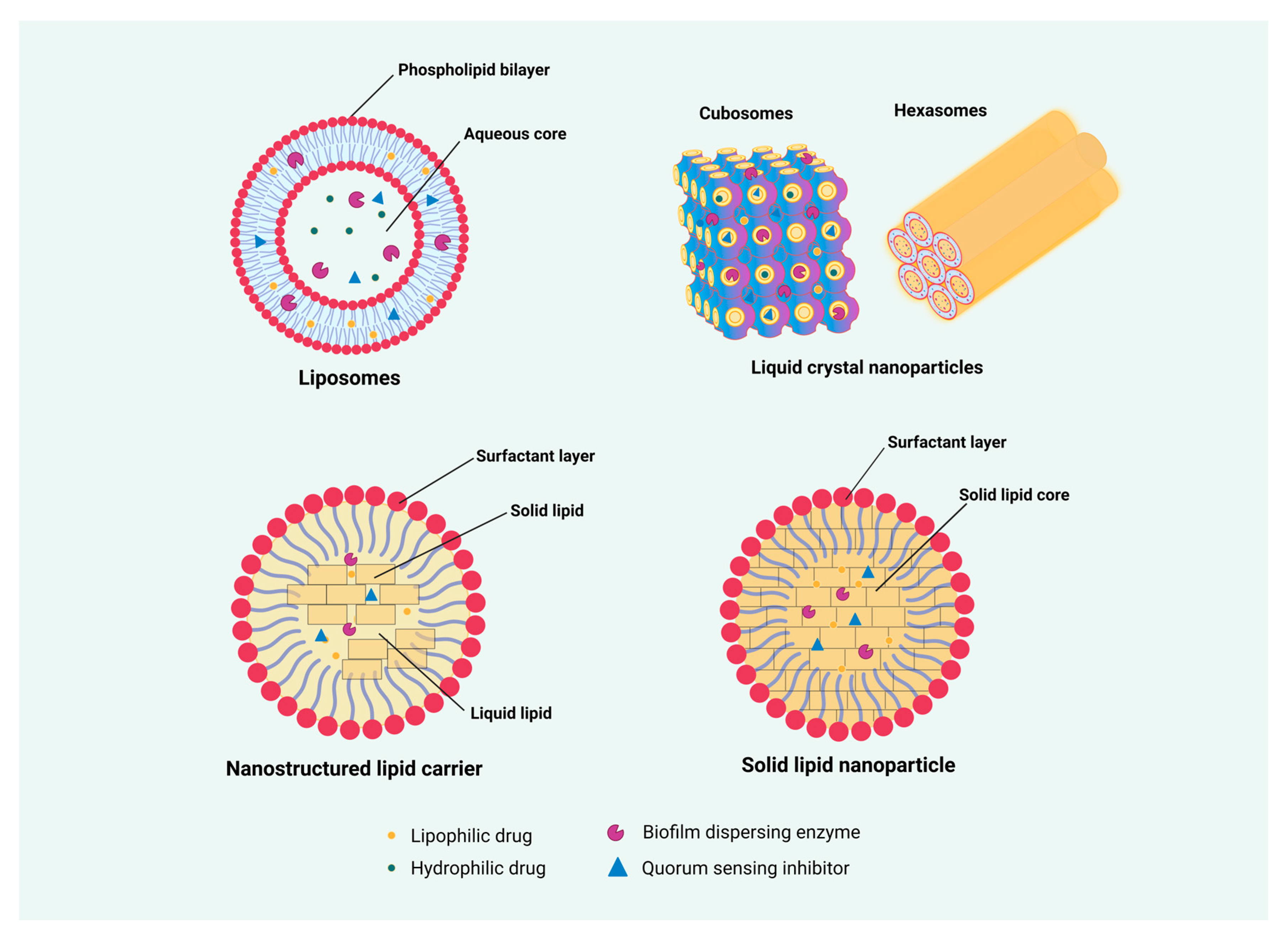 Pharmaceutics 16 00396 g006
