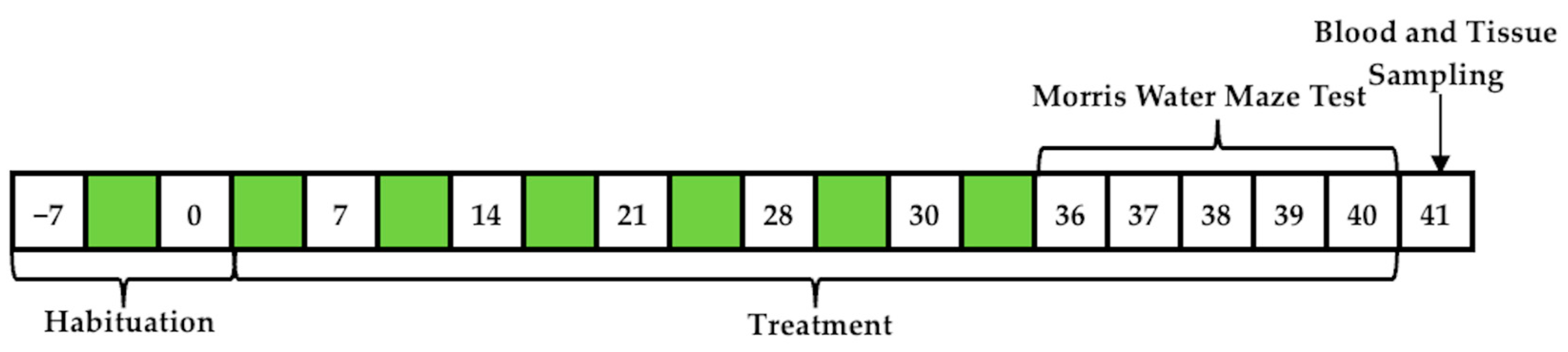Pharmaceutics 16 00403 g001