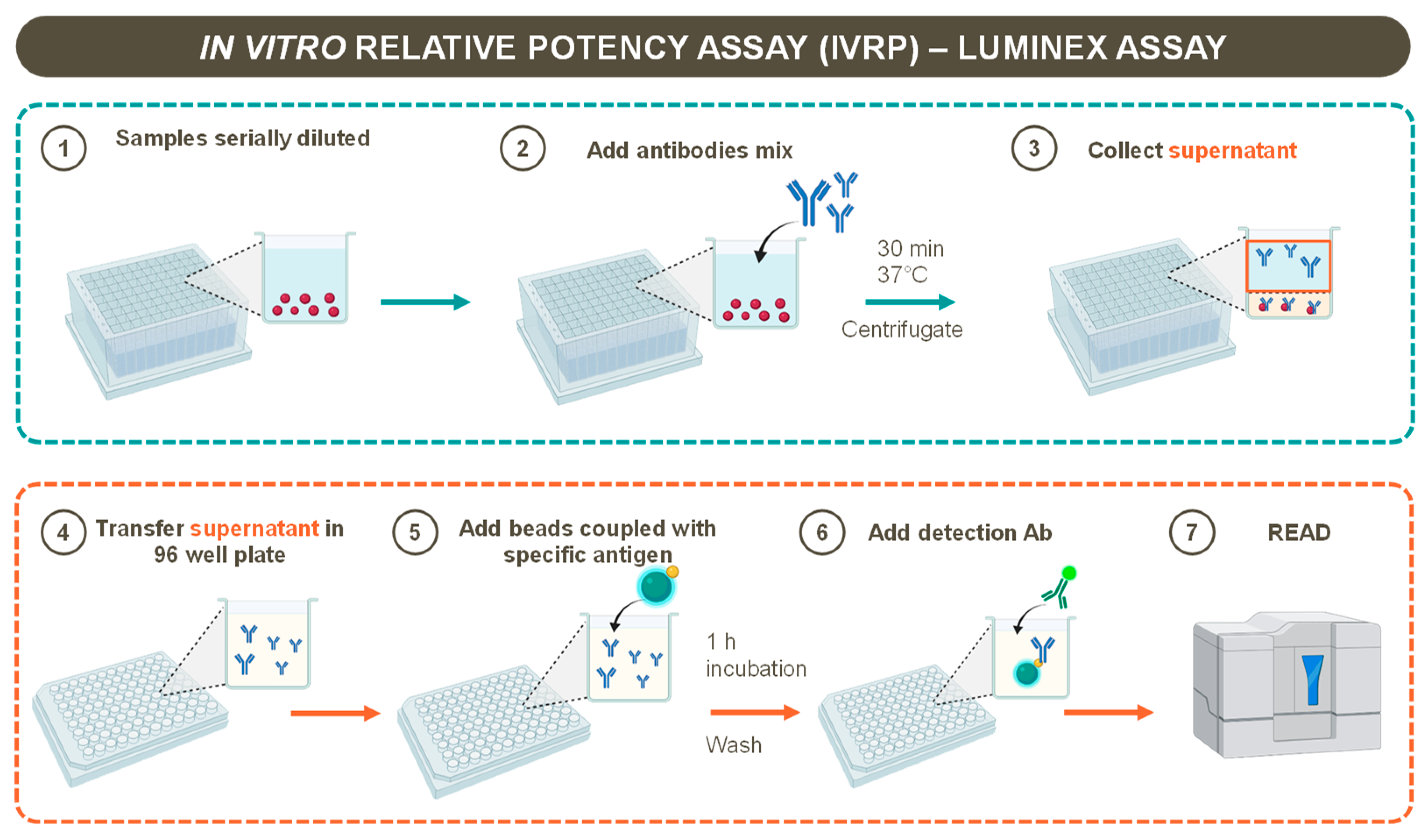 Pharmaceutics 16 00420 g001