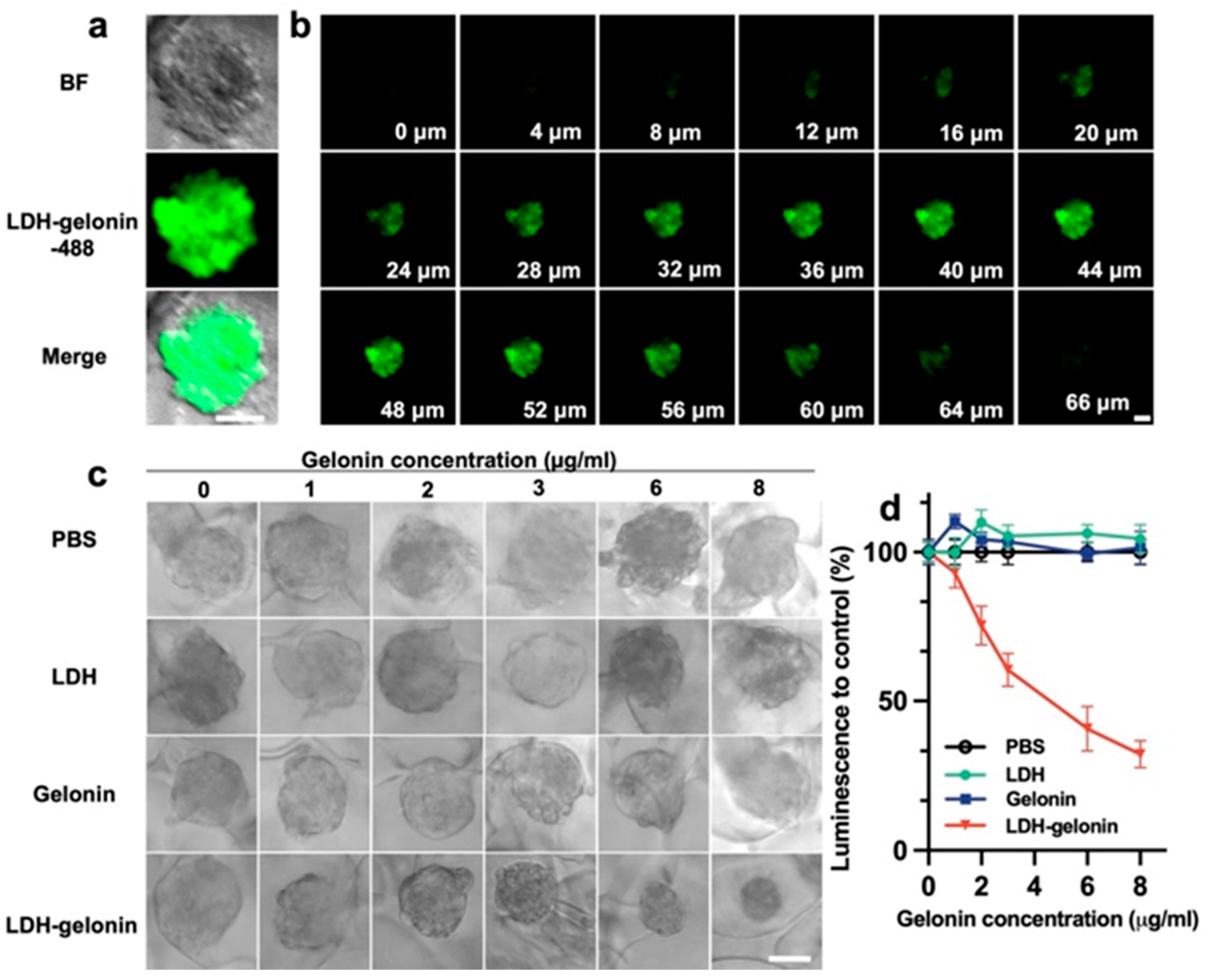 Pharmaceutics 16 00422 g005