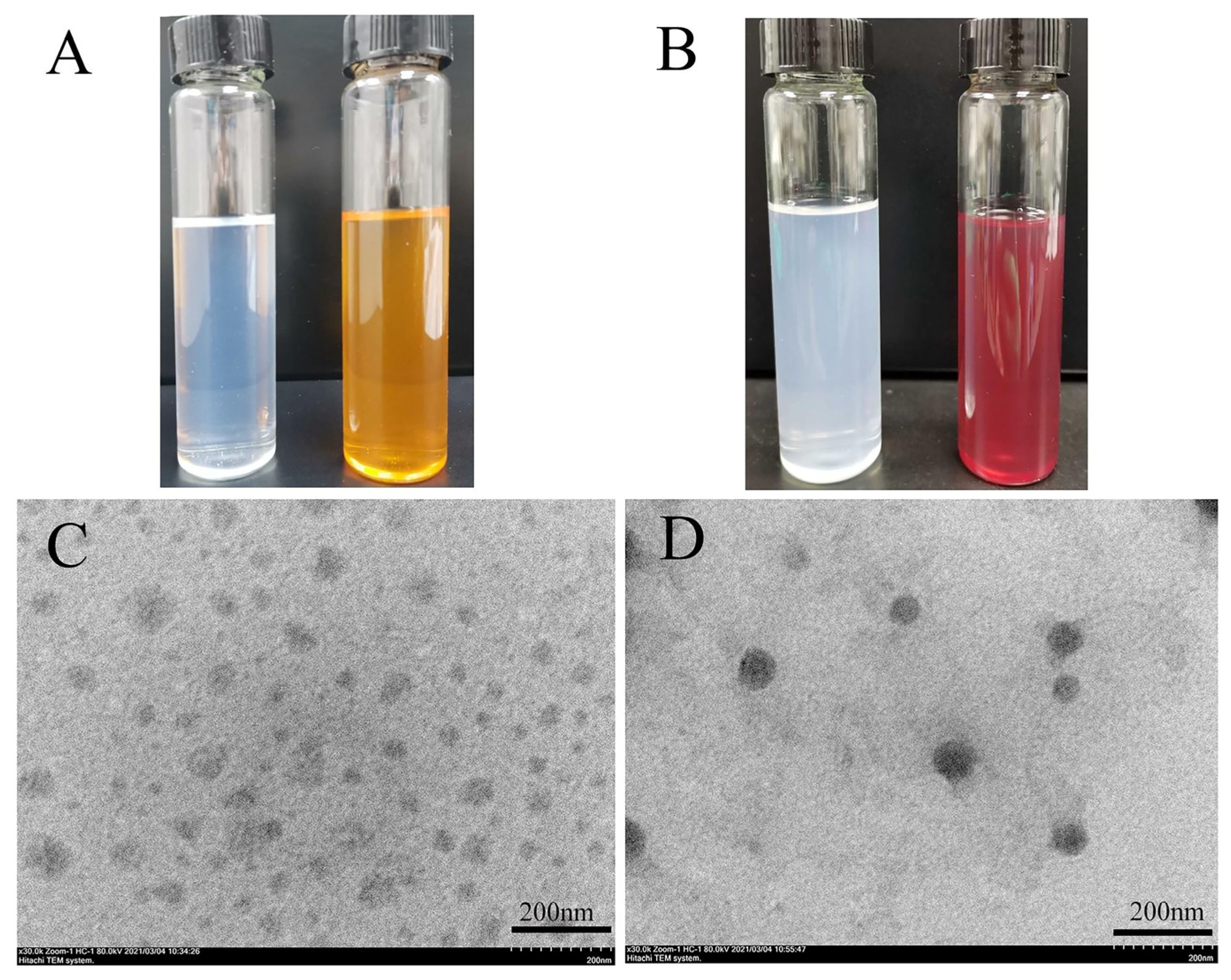 Pharmaceutics 16 00429 g002