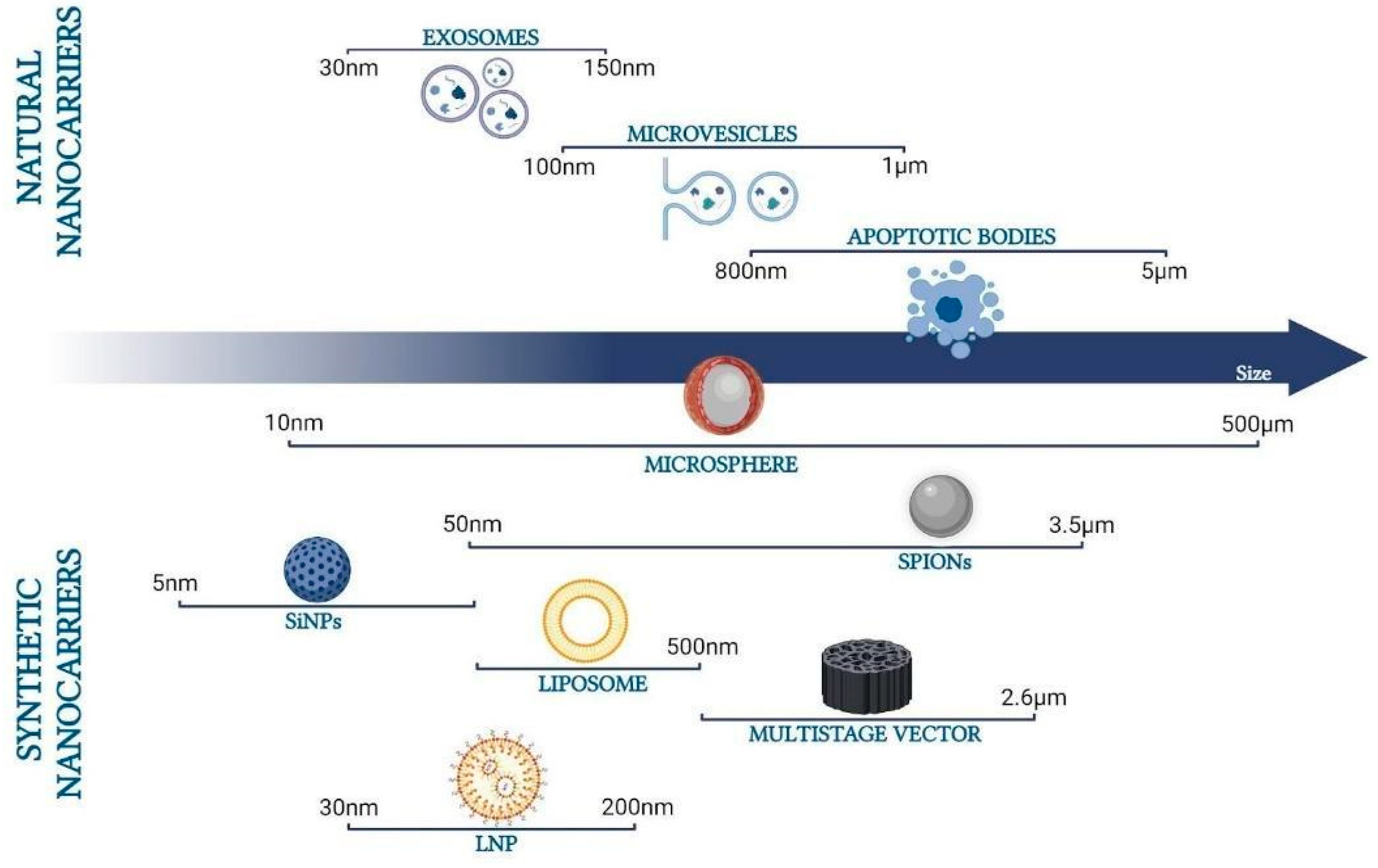 Pharmaceutics 16 00431 g001