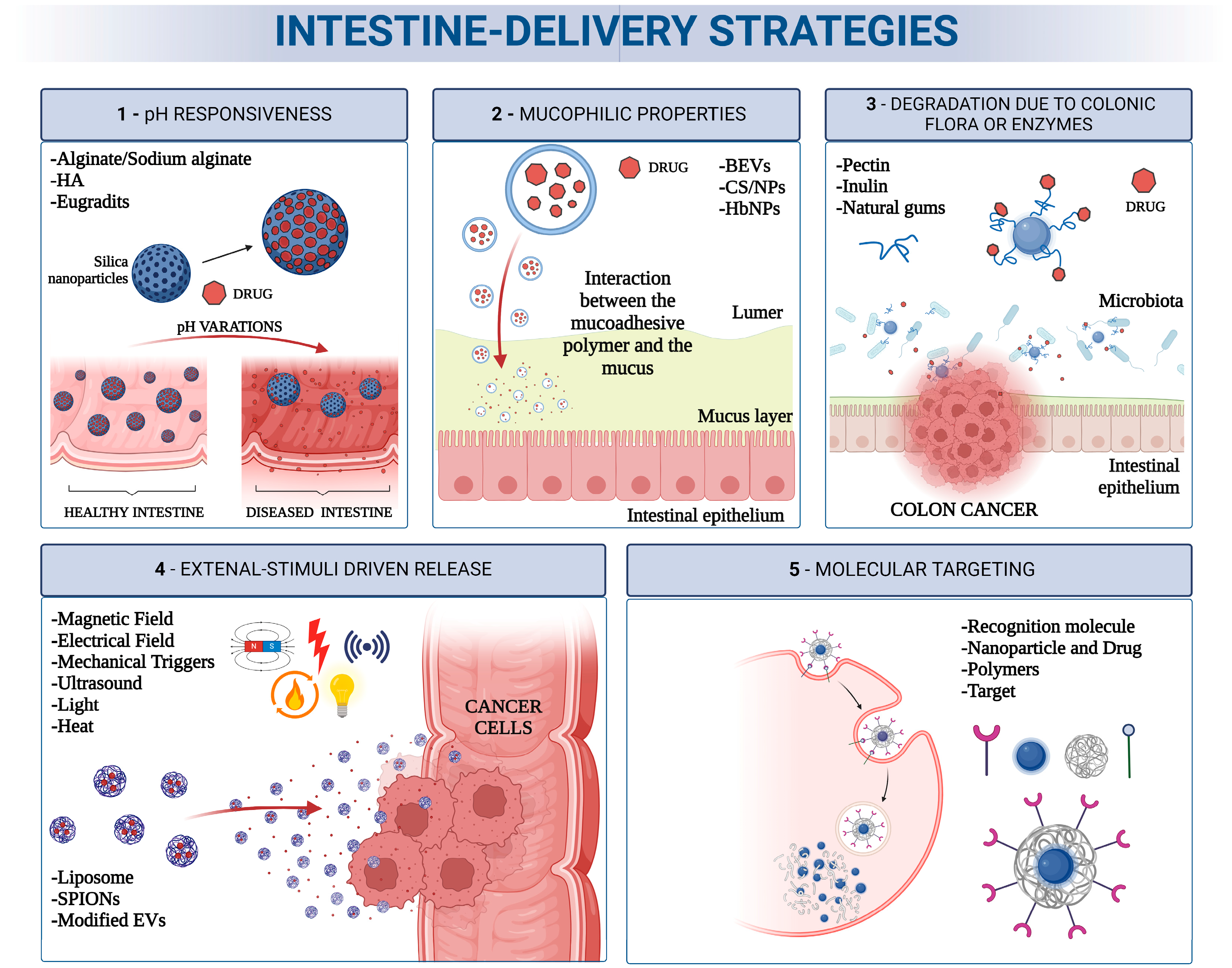 Pharmaceutics 16 00431 g006
