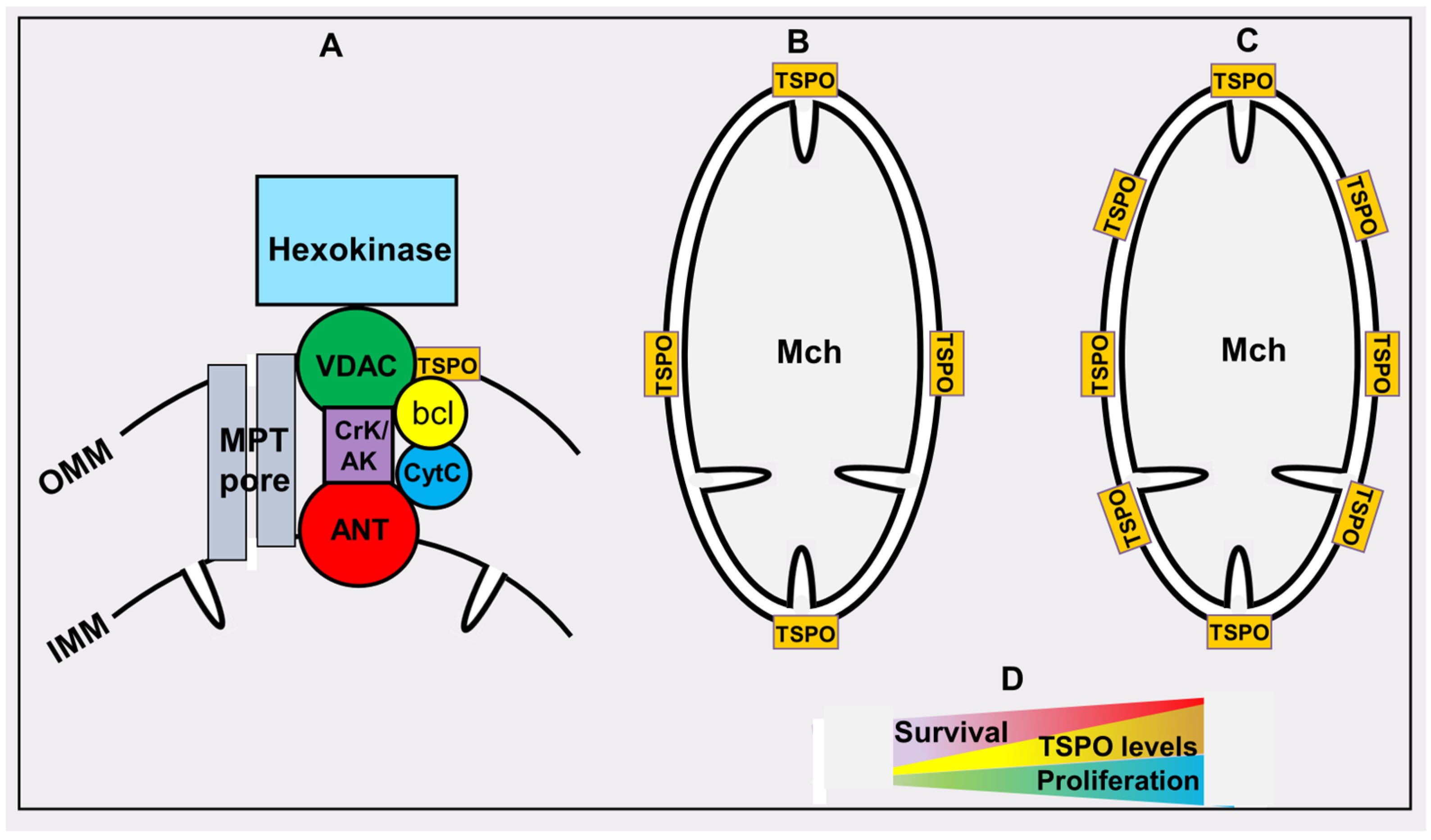 Pharmaceutics 16 00444 g004 Pharmaceutics 16 00444 g004