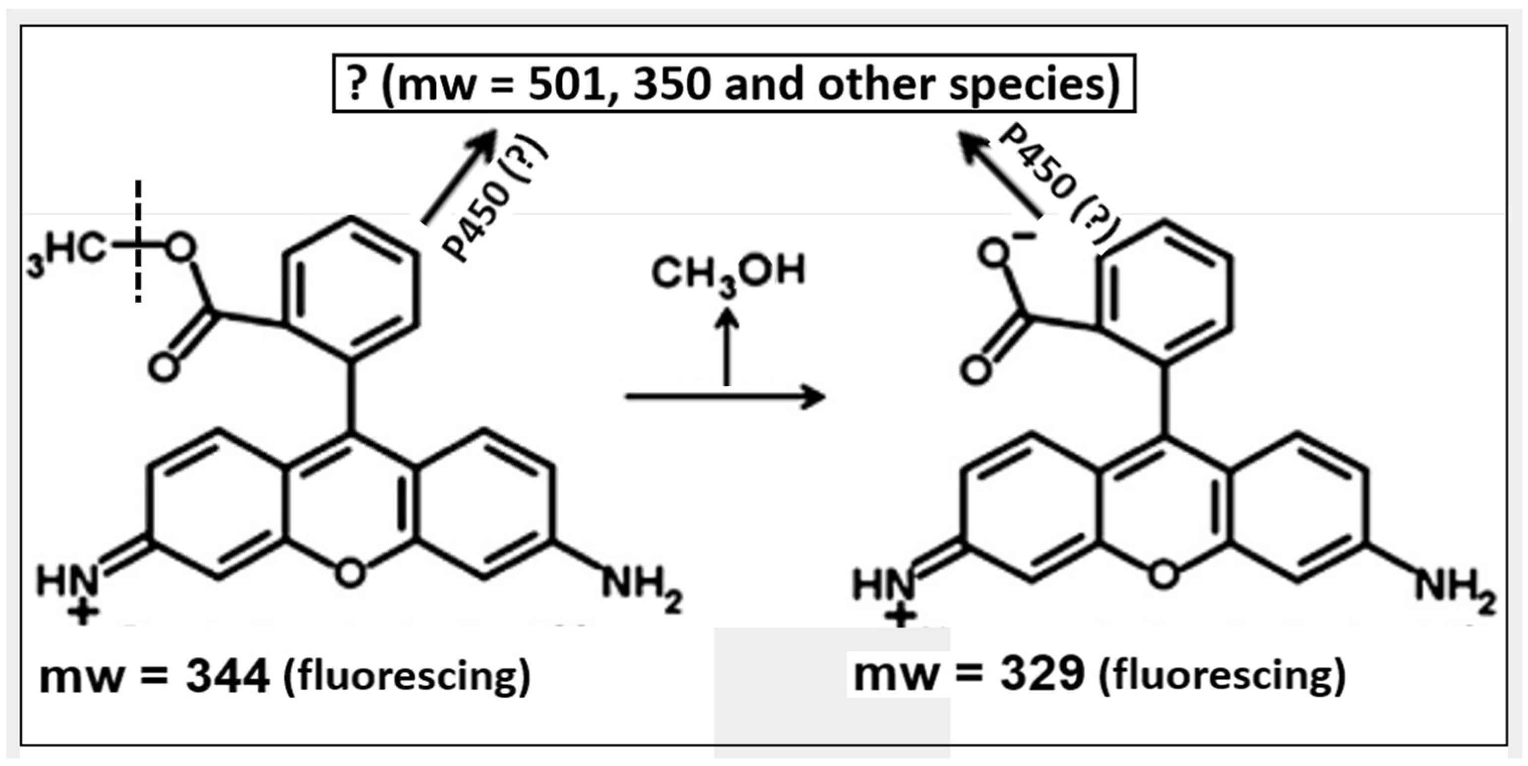 Pharmaceutics 16 00444 g005 Pharmaceutics 16 00444 g005