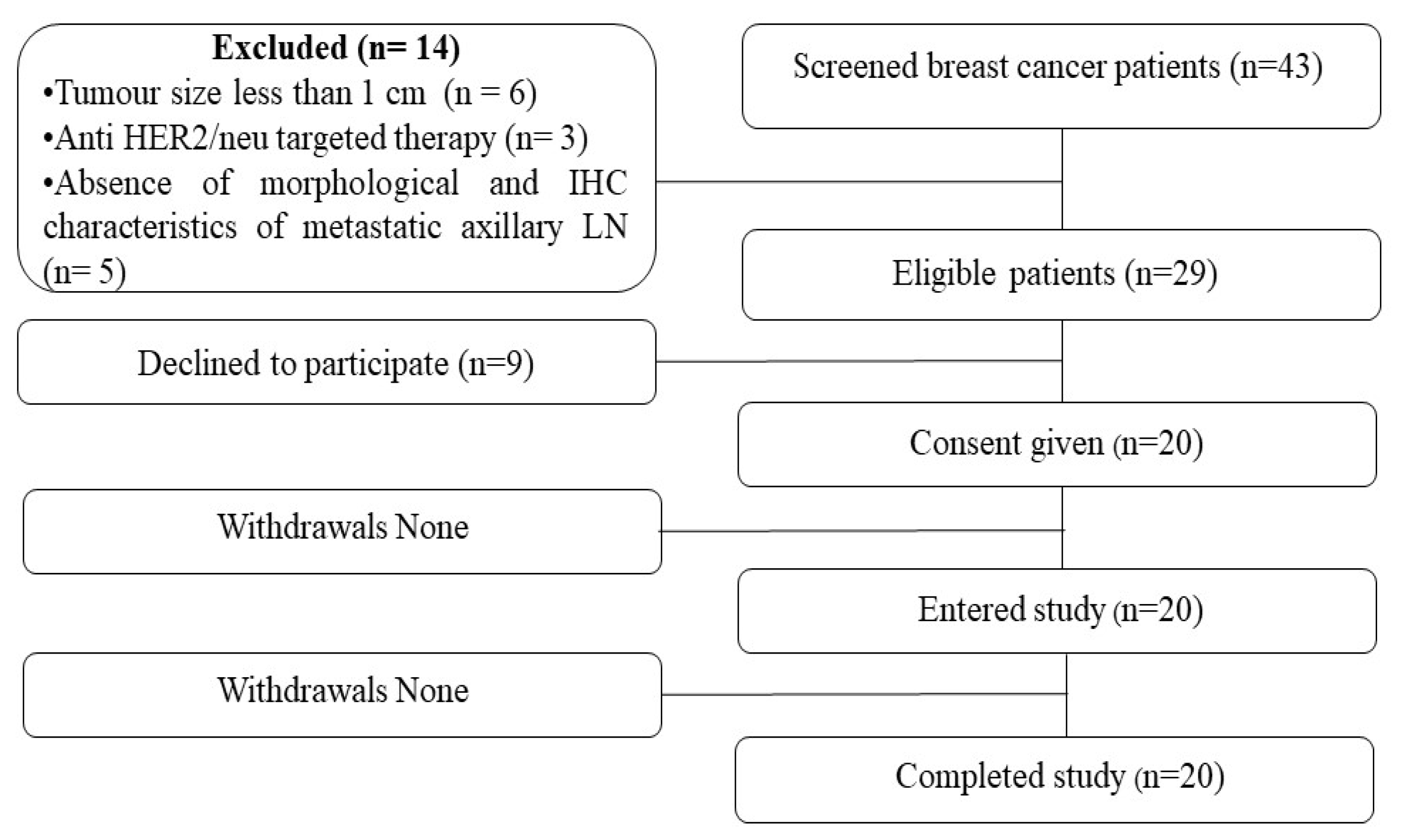 Pharmaceutics 16 00445 g001