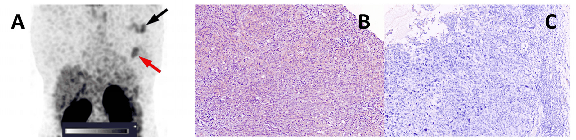 Pharmaceutics 16 00445 g003