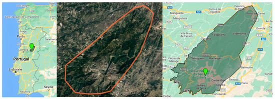 Pharmaceutics 16 00454 g001