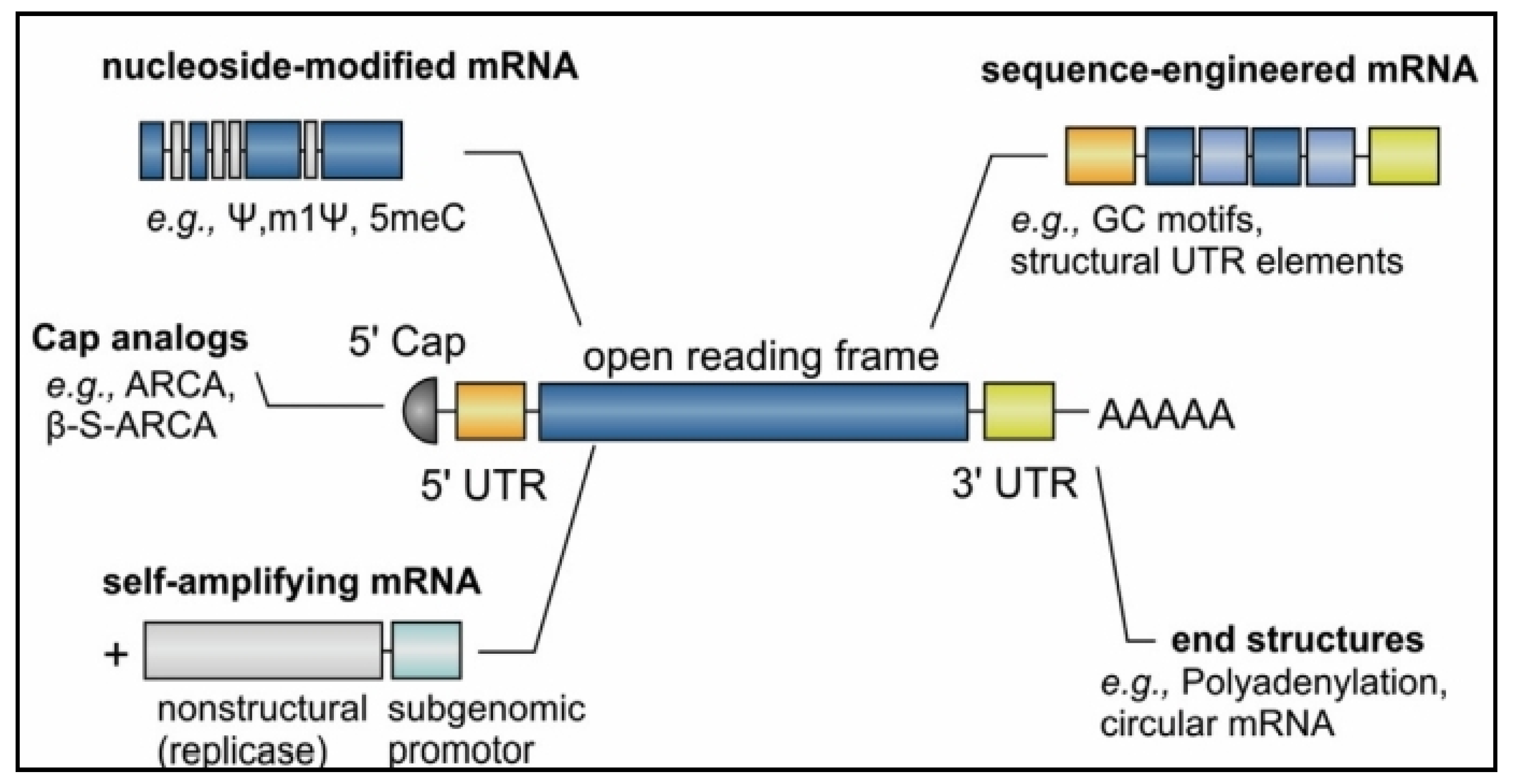 Pharmaceutics 16 00455 g002