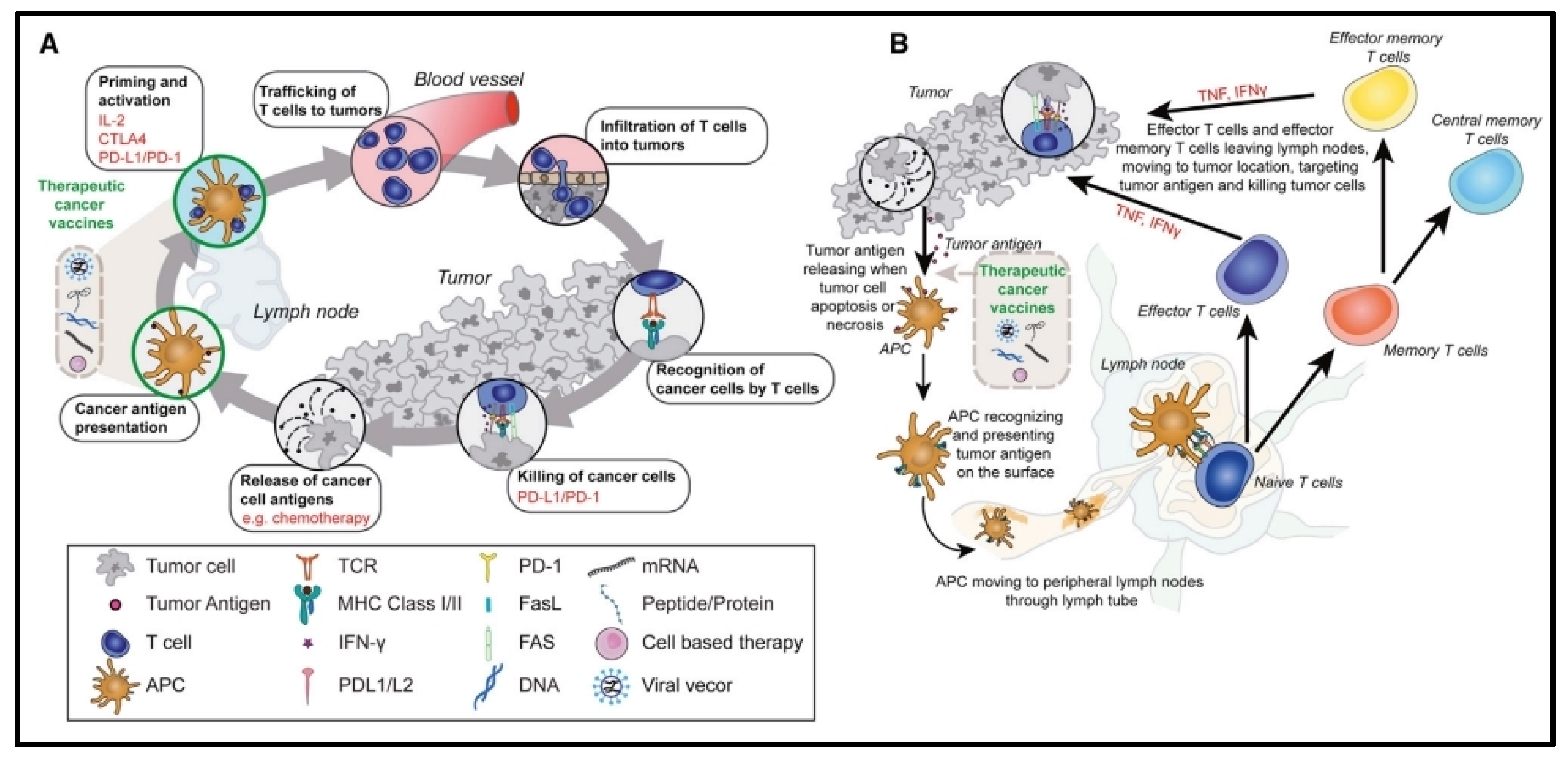 Pharmaceutics 16 00455 g007