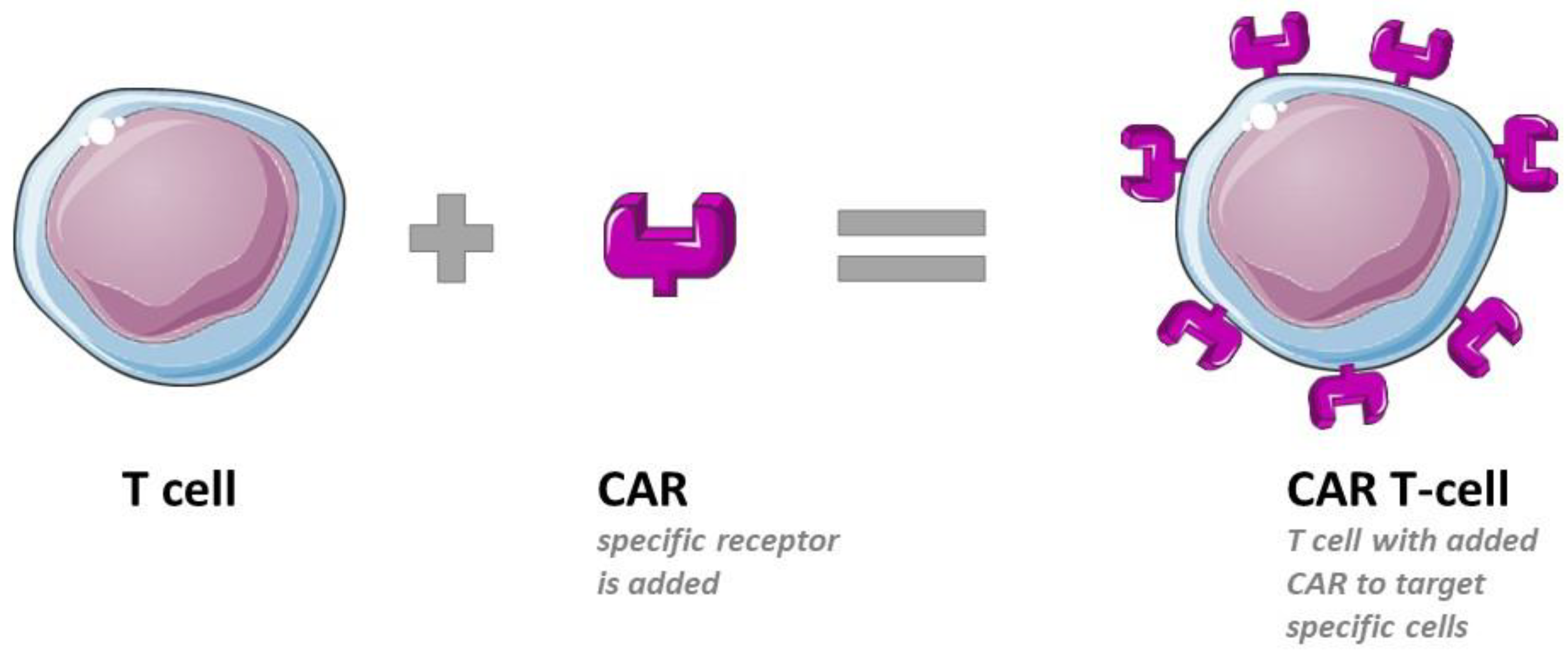 Pharmaceutics 16 00461 g002