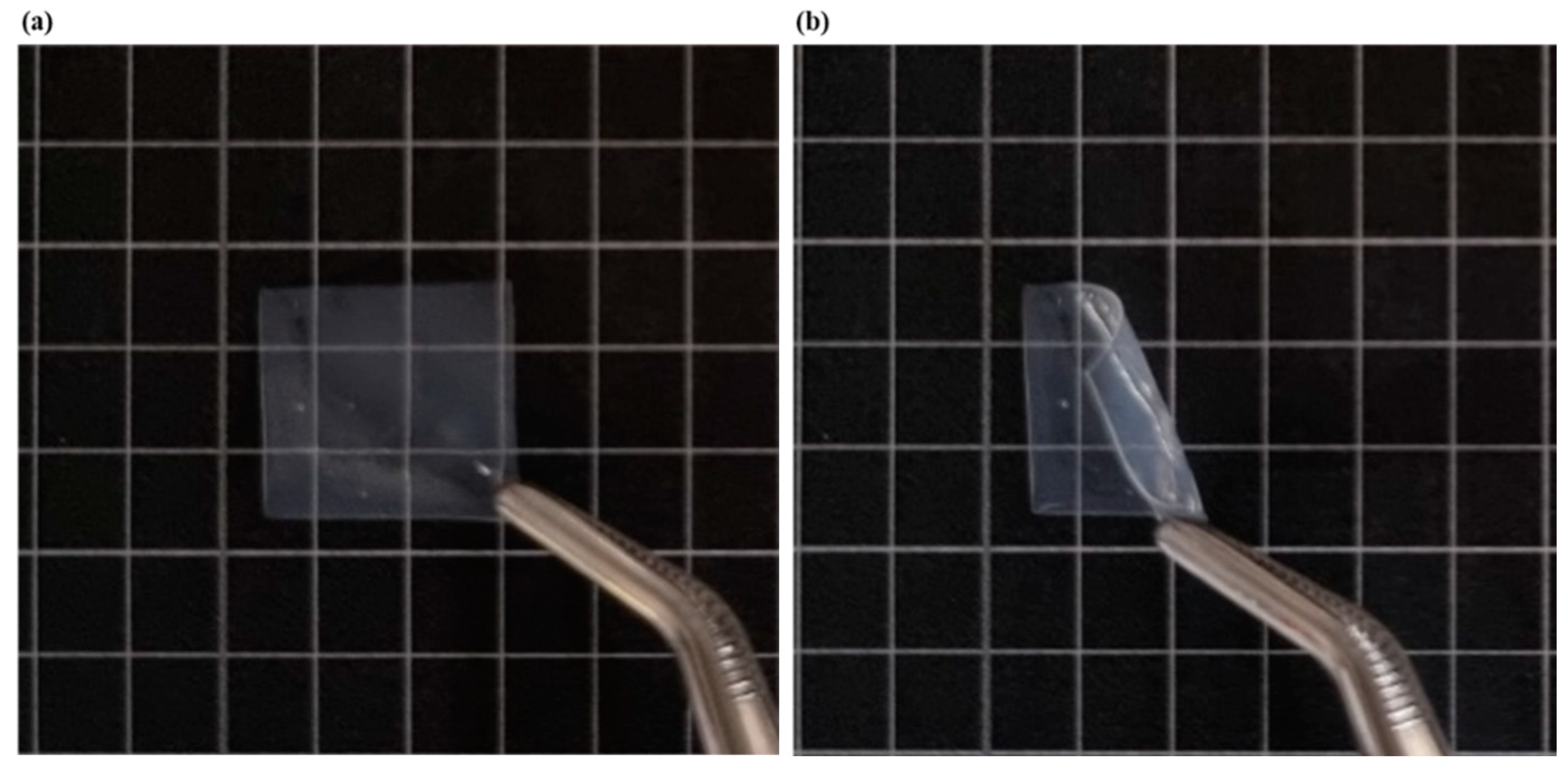 Pharmaceutics 16 00468 g001