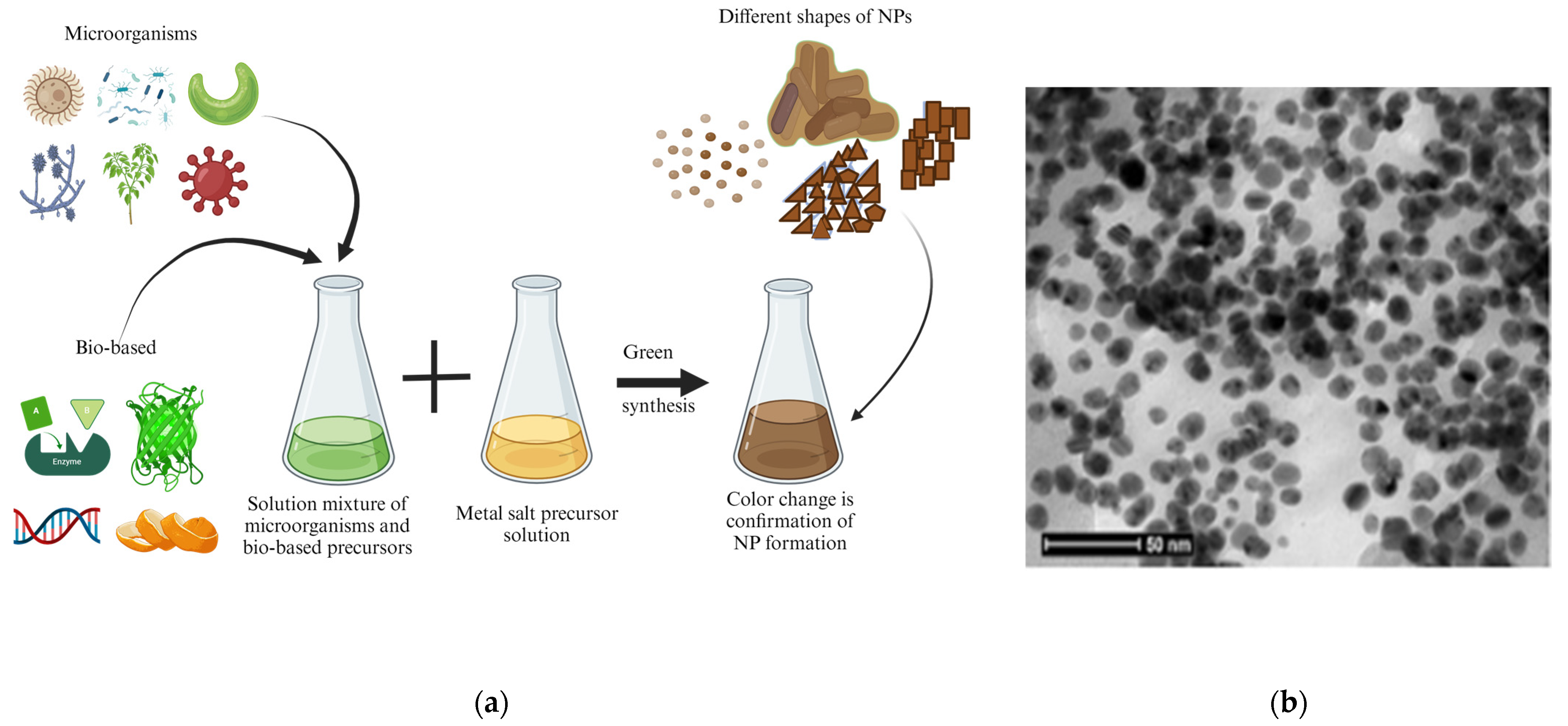 Pharmaceutics 16 00473 g003
