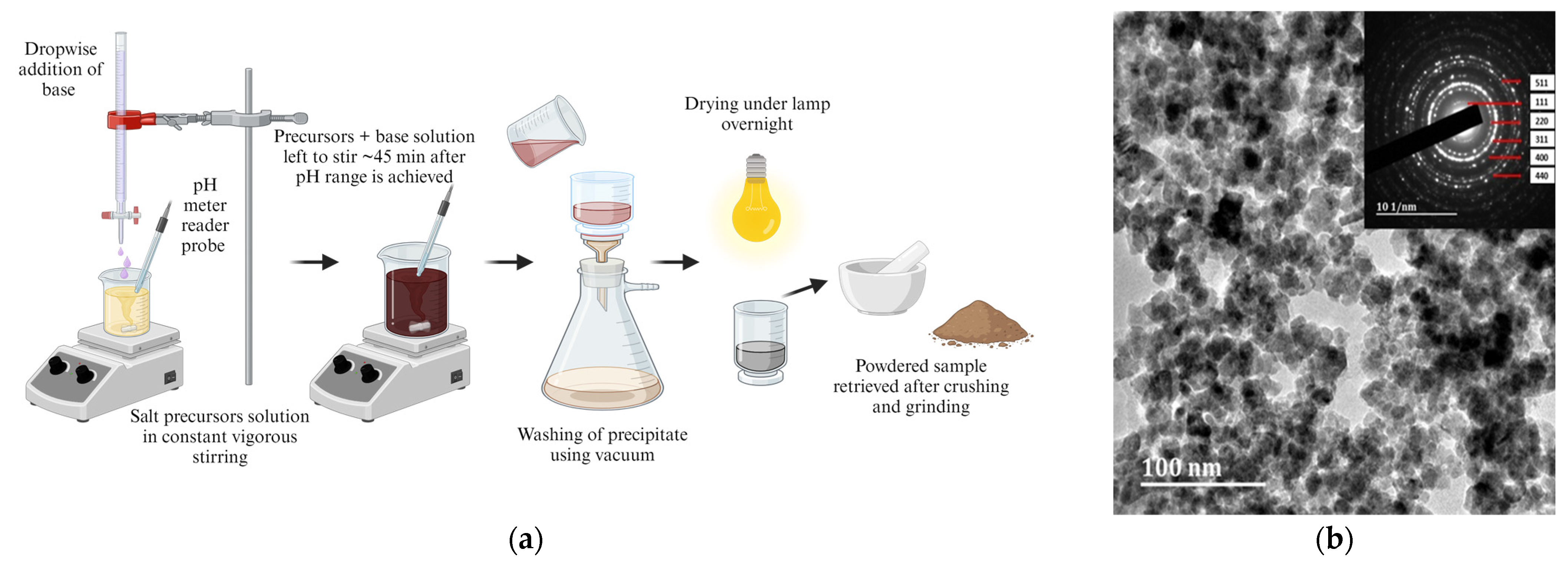 Pharmaceutics 16 00473 g004