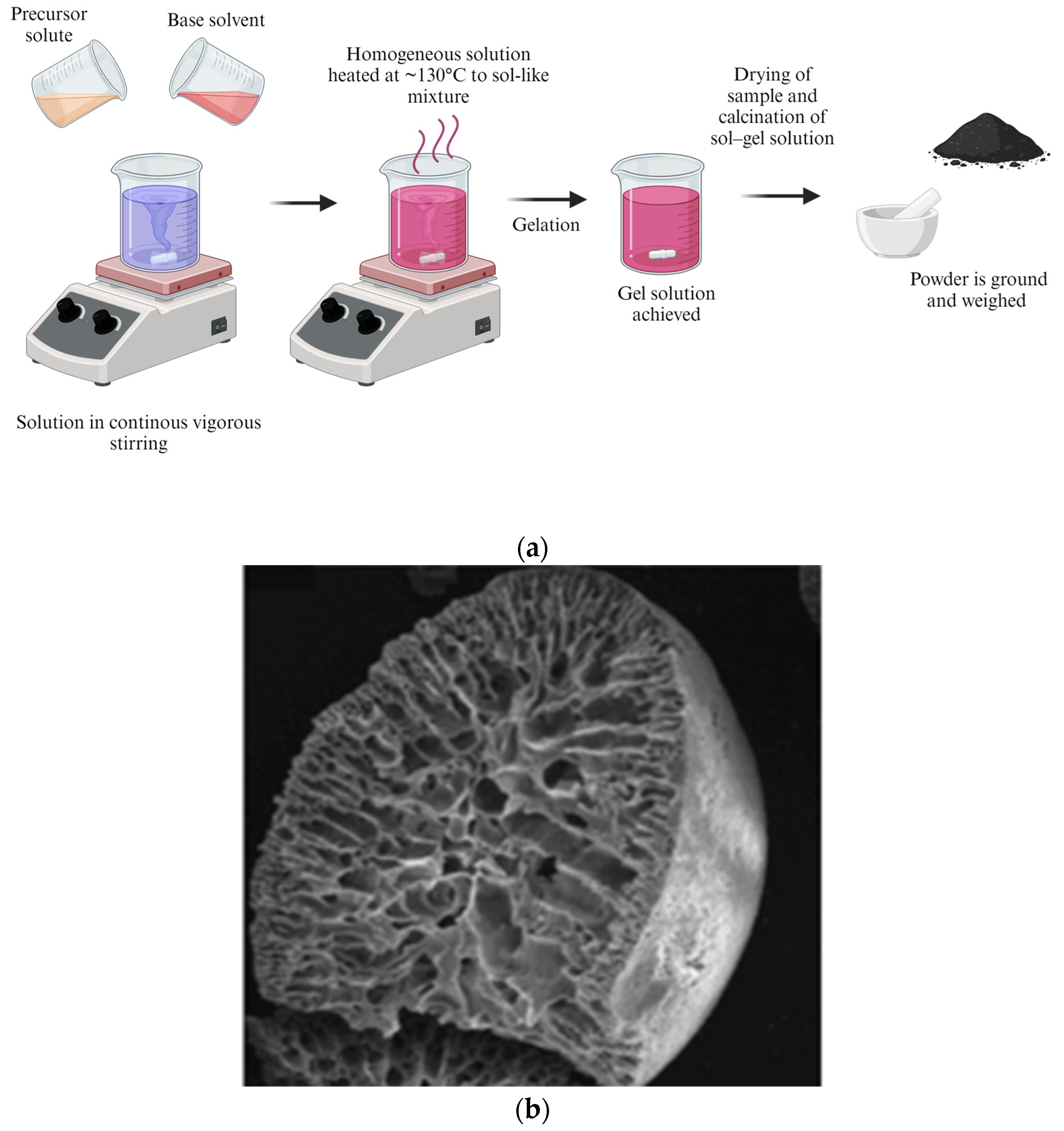 Pharmaceutics 16 00473 g005