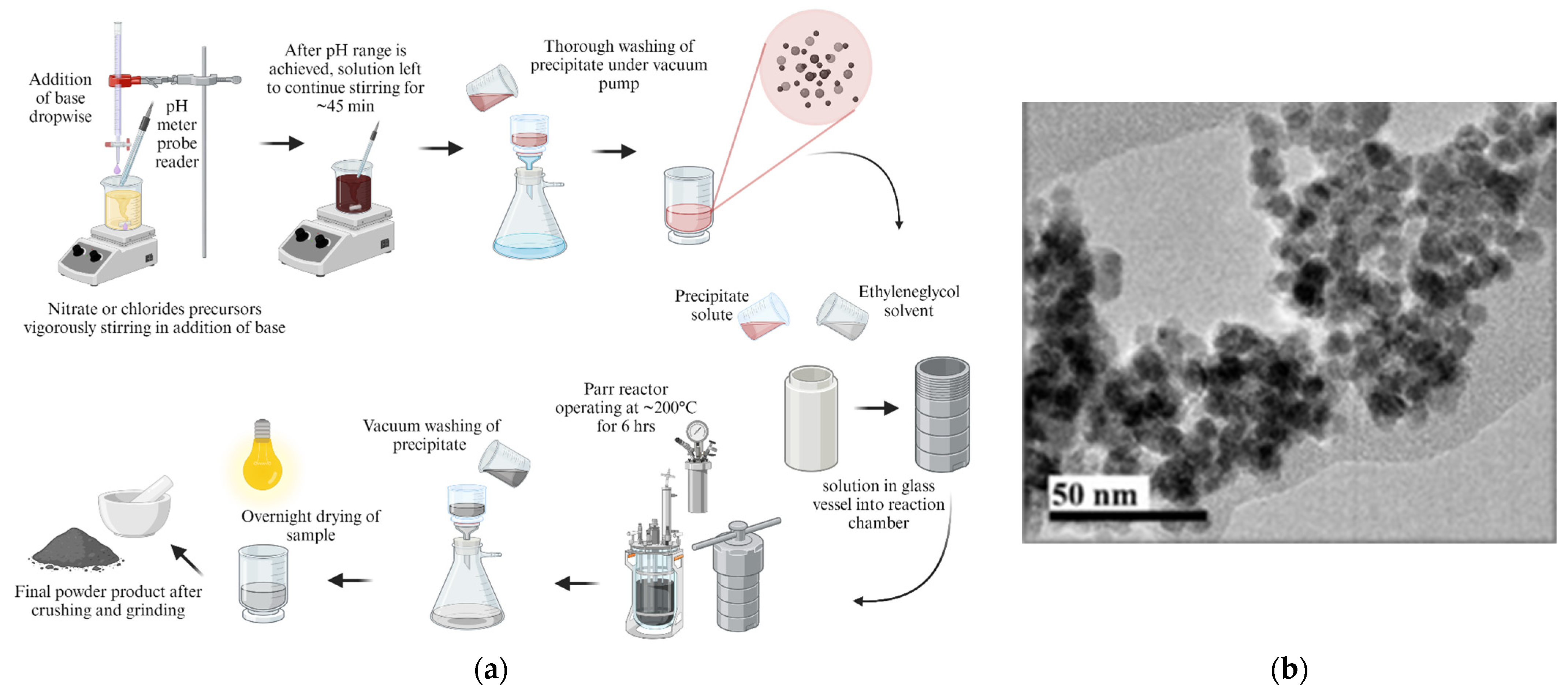 Pharmaceutics 16 00473 g007