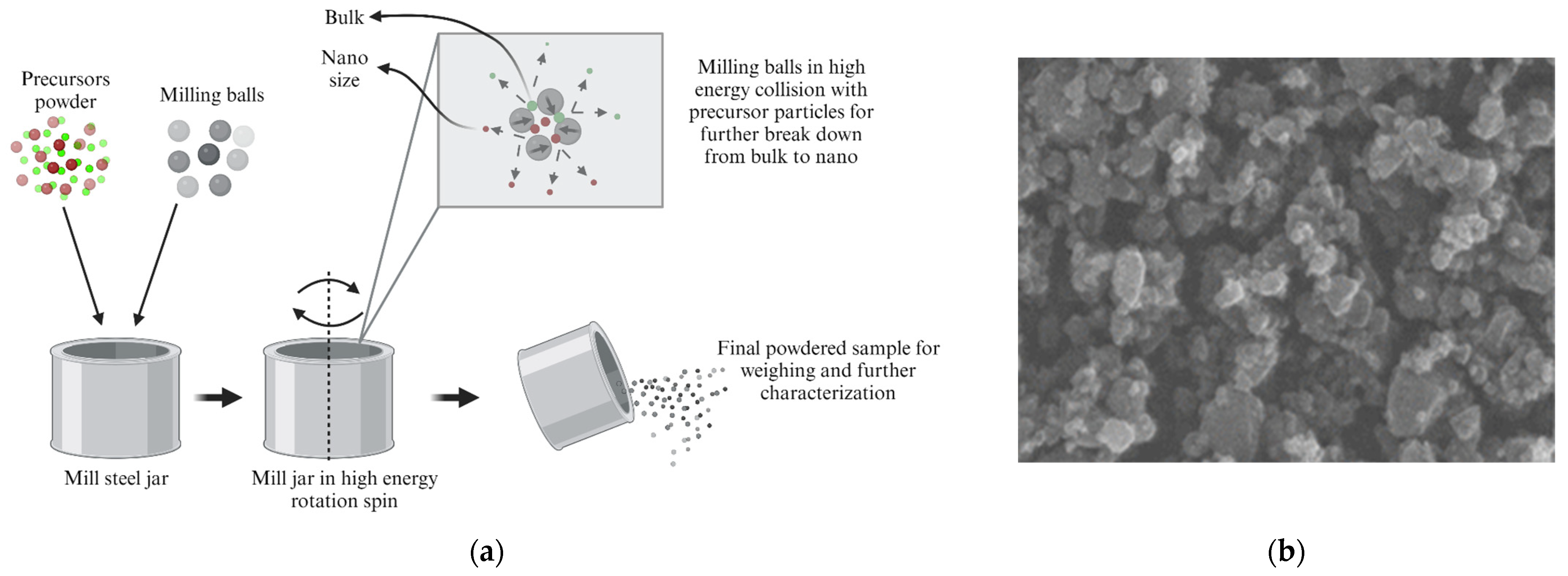 Pharmaceutics 16 00473 g008