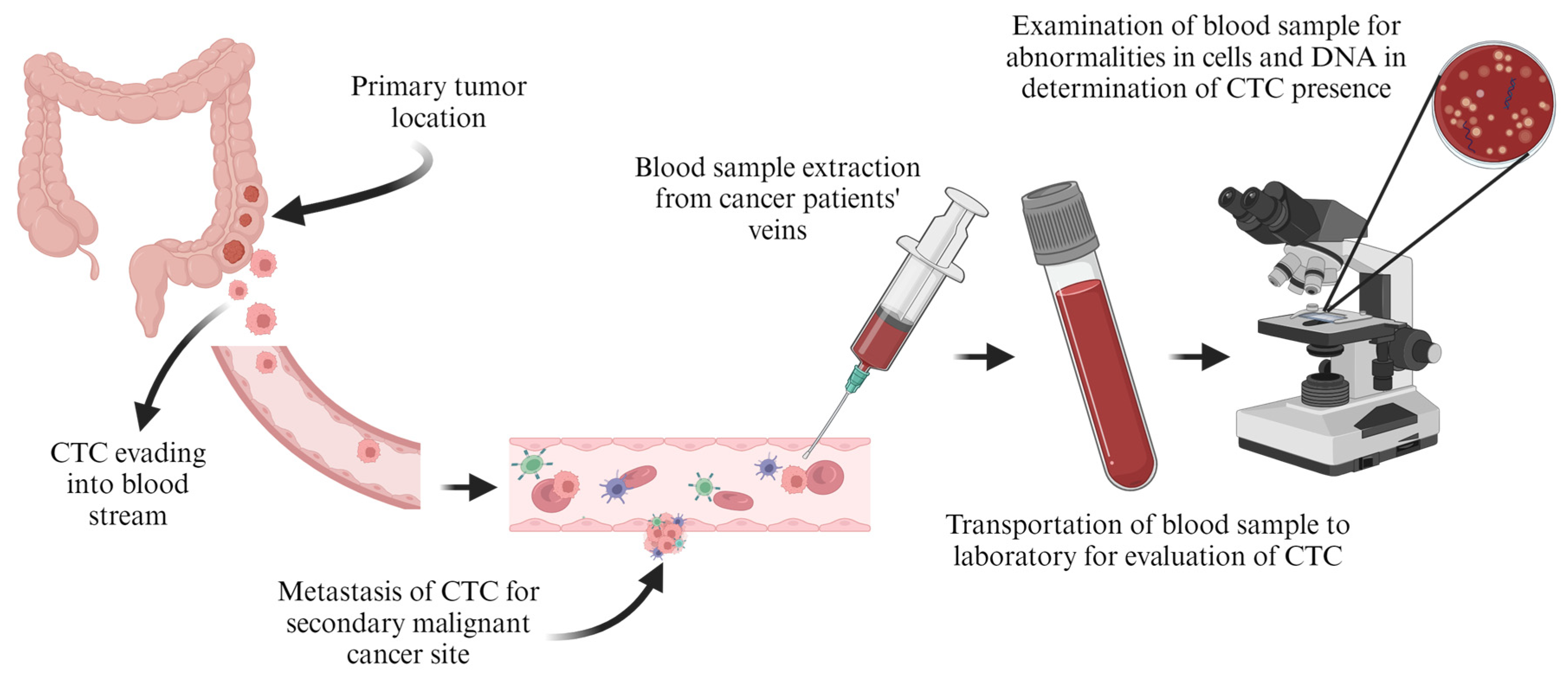 Pharmaceutics 16 00473 g009