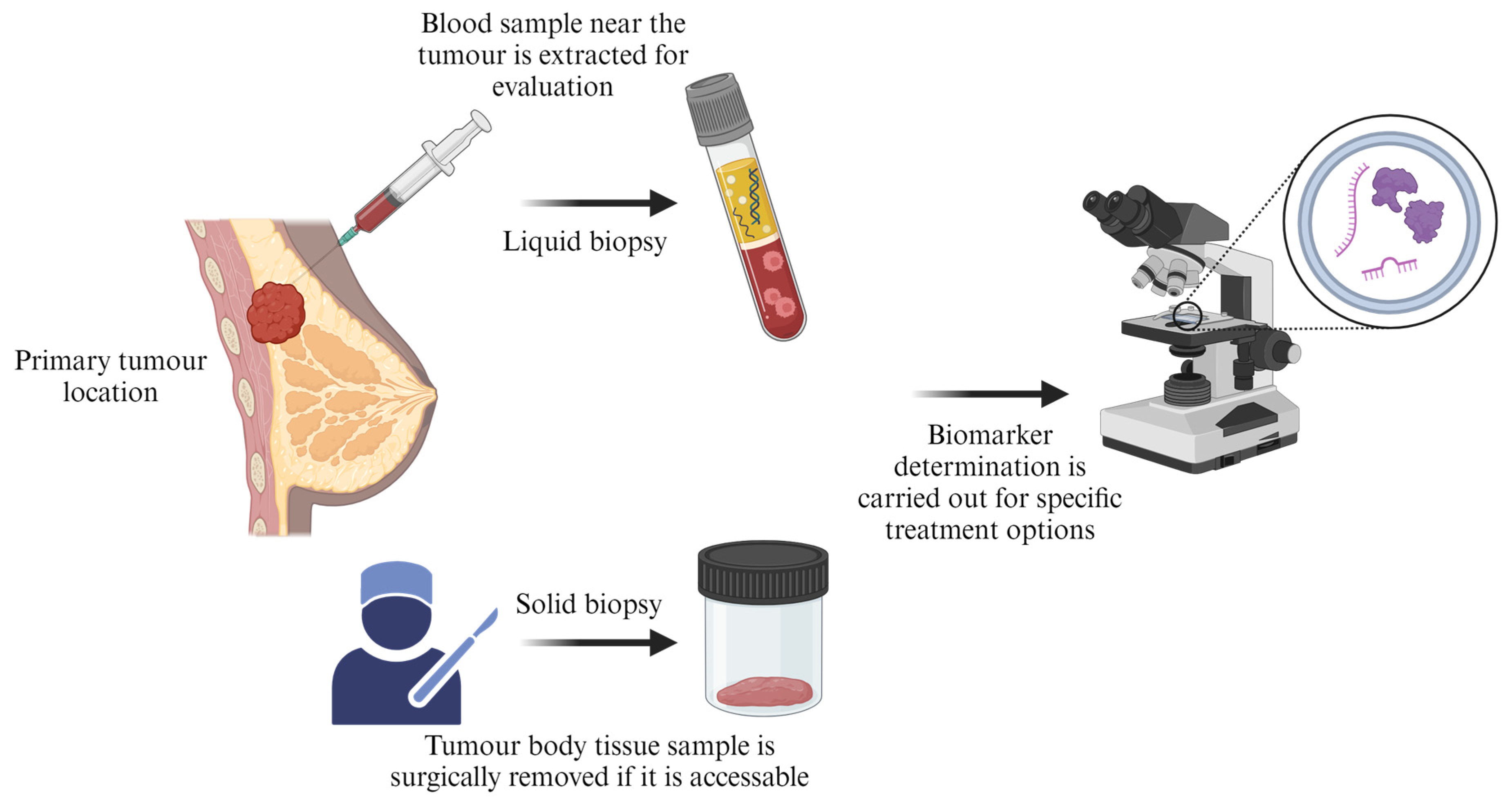 Pharmaceutics 16 00473 g010