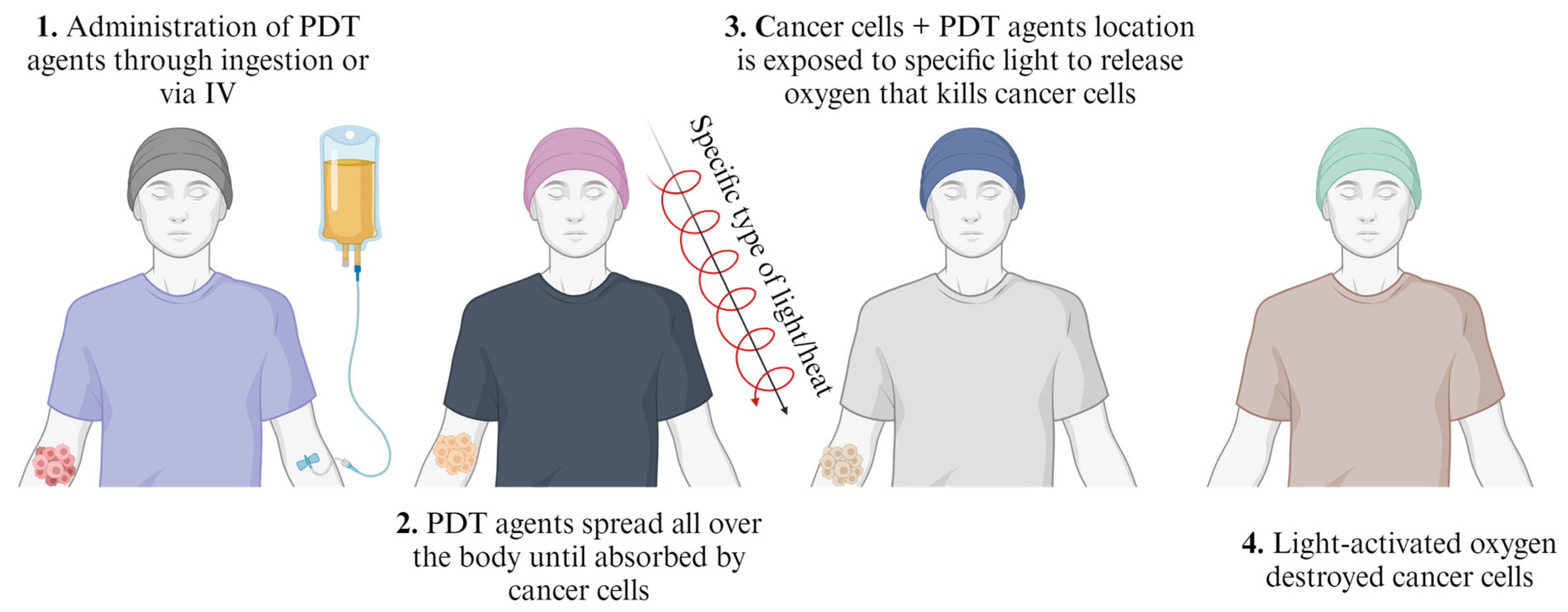 Pharmaceutics 16 00473 g011