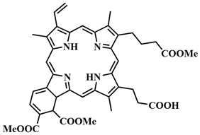Pharmaceutics 16 00479 i002 Pharmaceutics 16 00479 i002