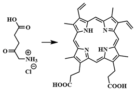 Pharmaceutics 16 00479 i003 Pharmaceutics 16 00479 i003