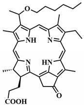 Pharmaceutics 16 00479 i004 Pharmaceutics 16 00479 i004