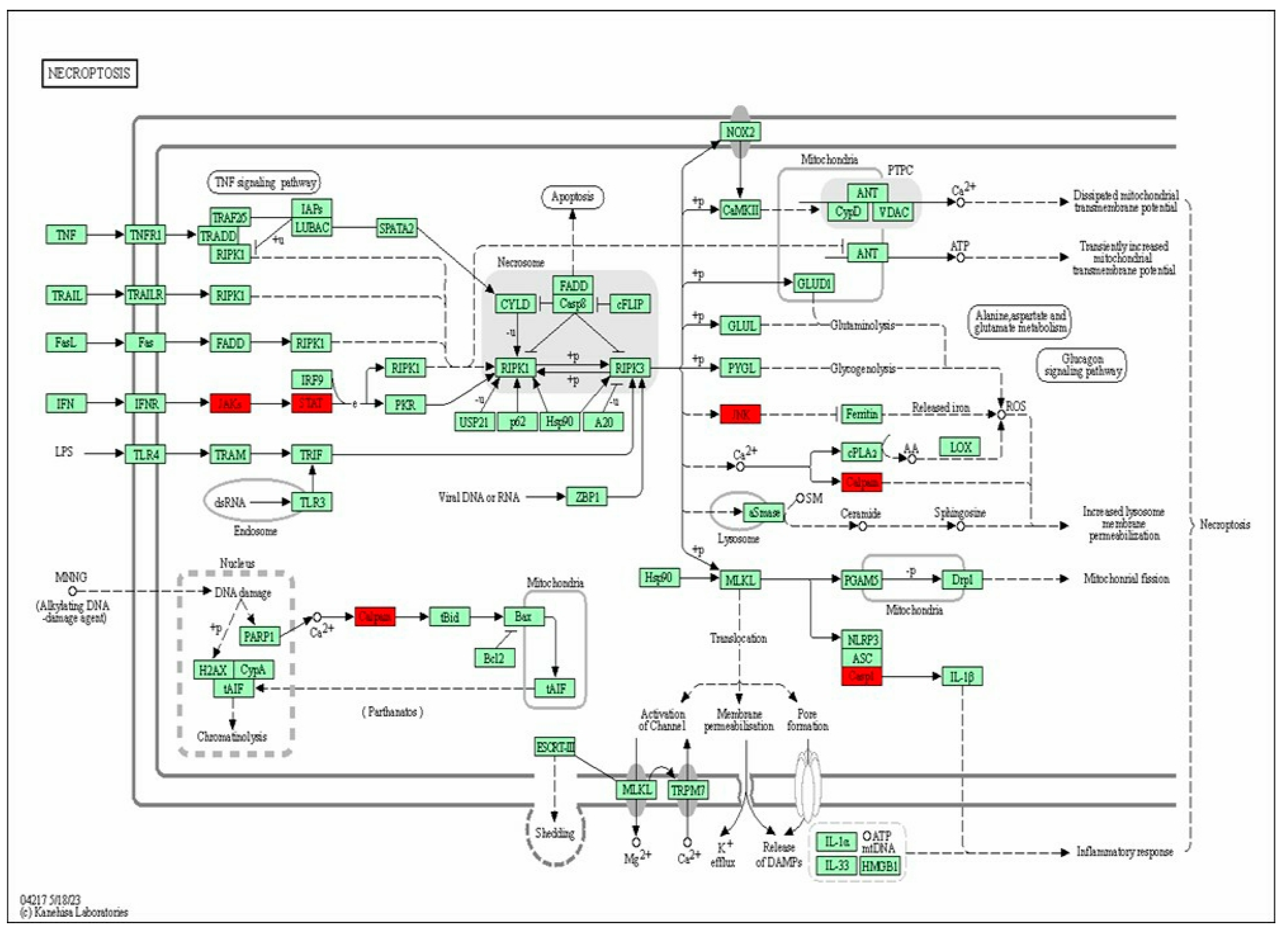 Pharmaceutics 16 00480 g006