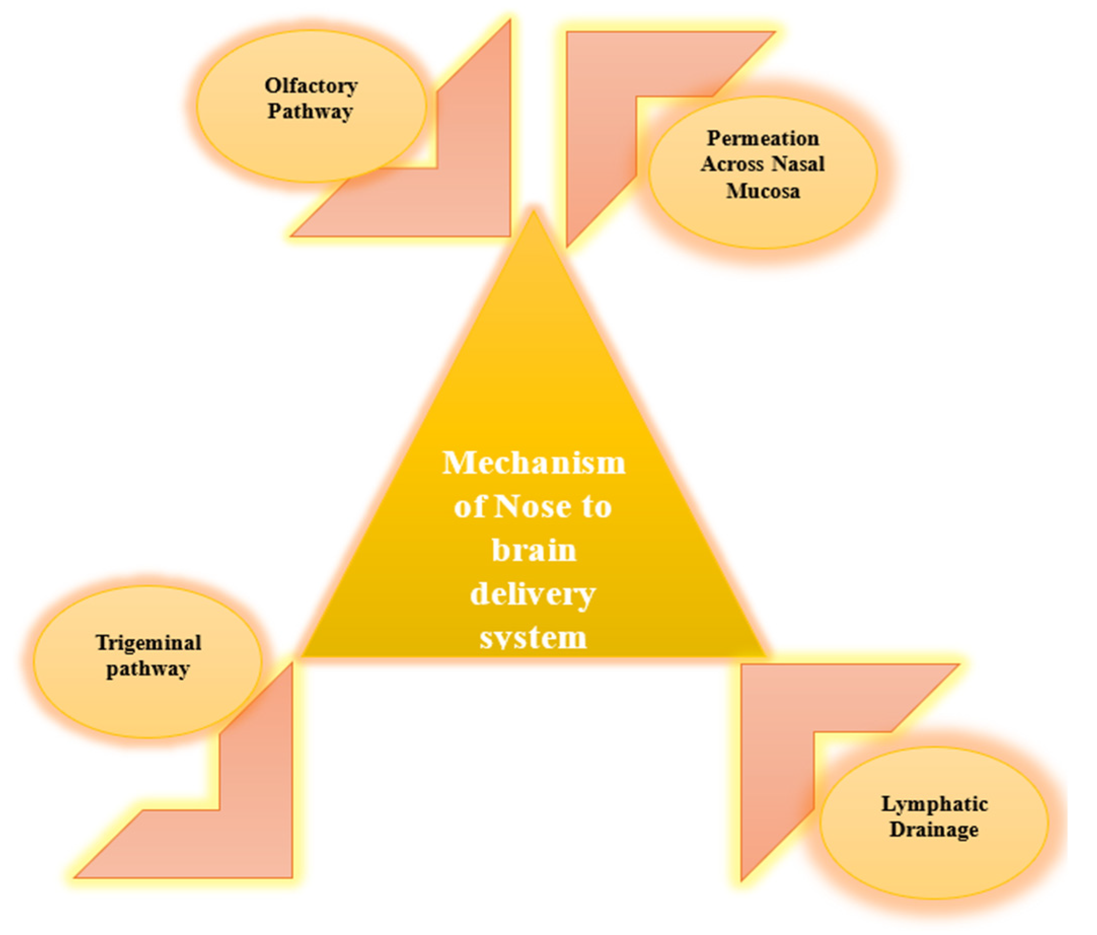 Pharmaceutics 16 00481 g001