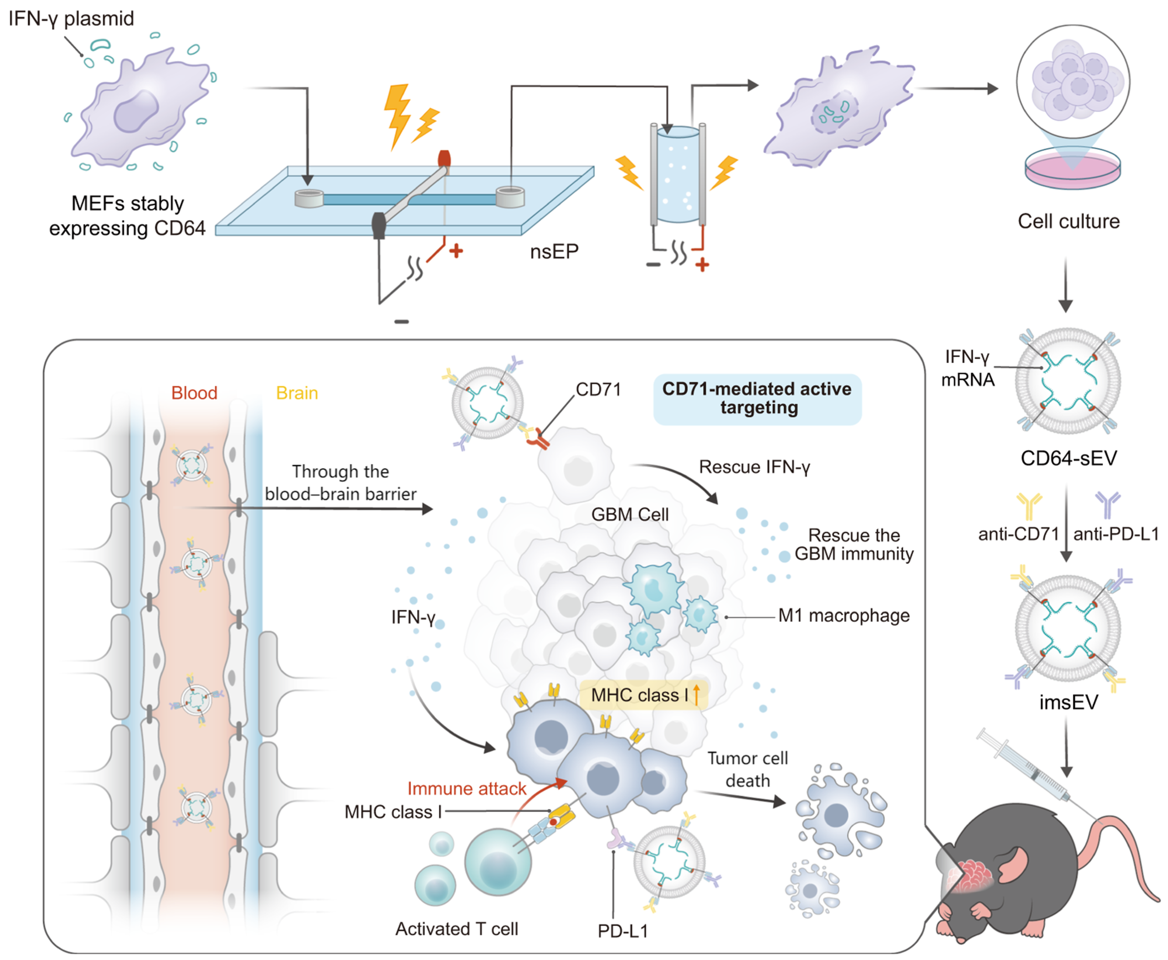 Pharmaceutics 16 00482 g002