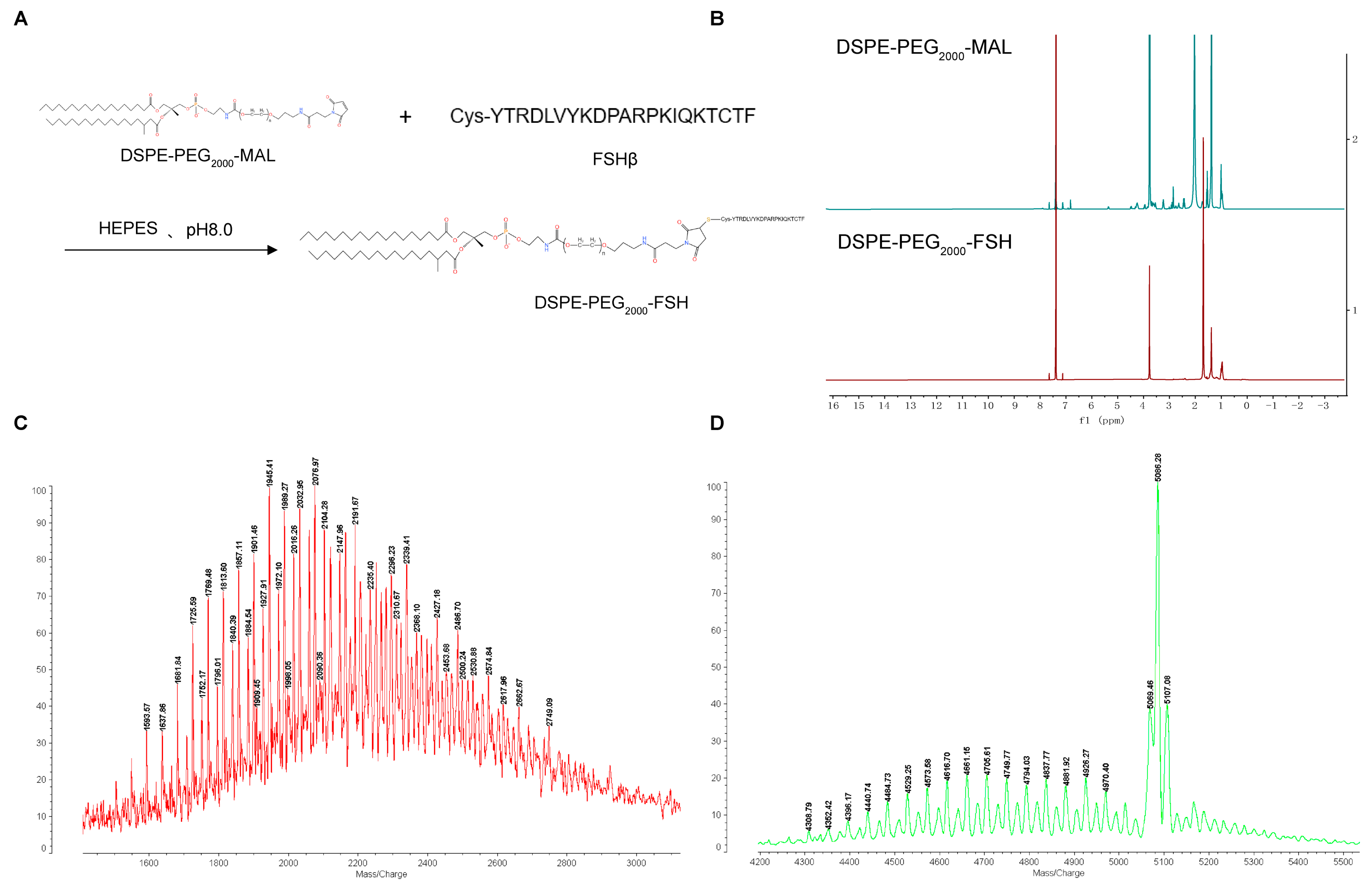 Pharmaceutics 16 00490 g002