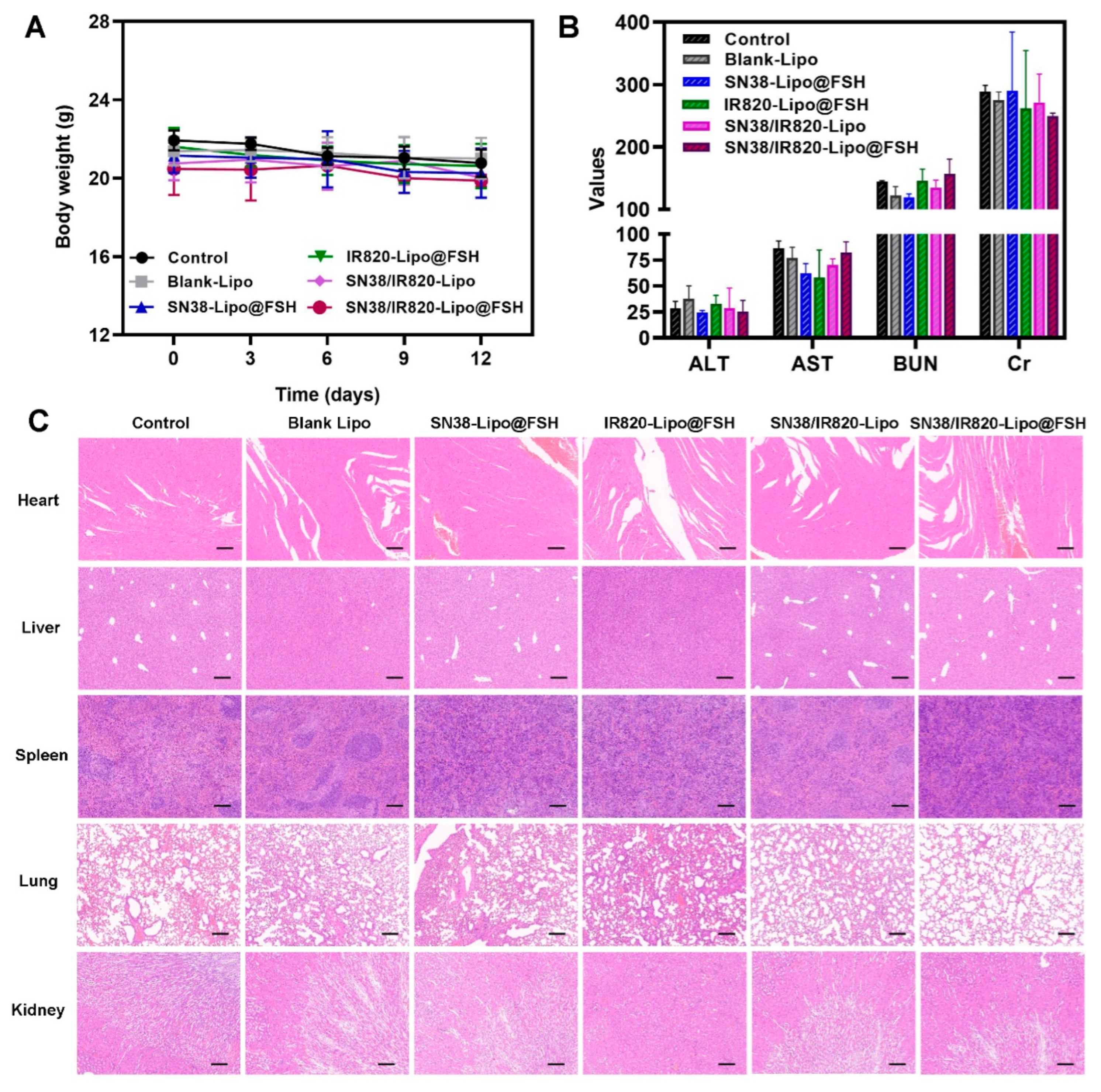 Pharmaceutics 16 00490 g009