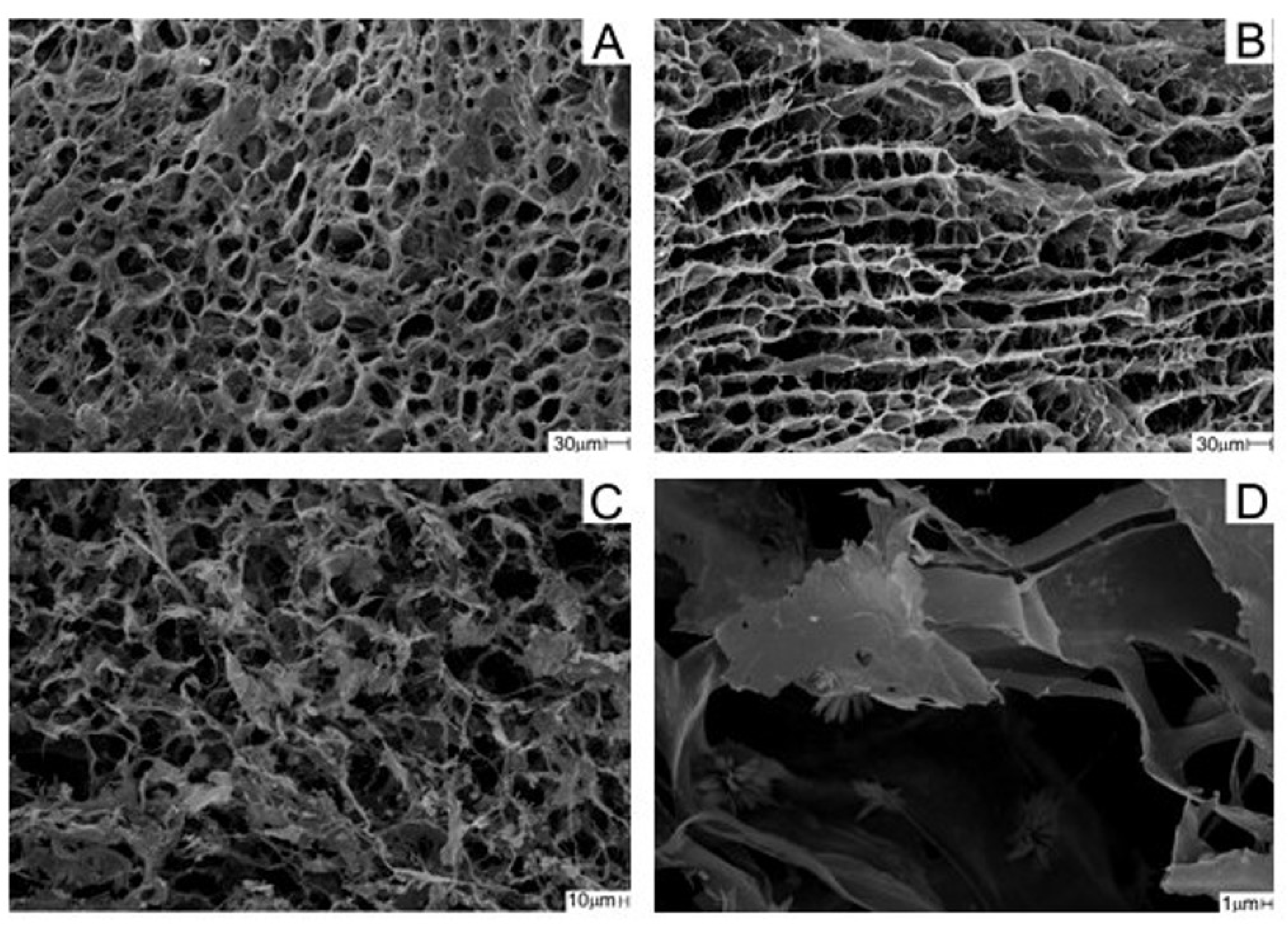 Pharmaceutics 16 00491 g004