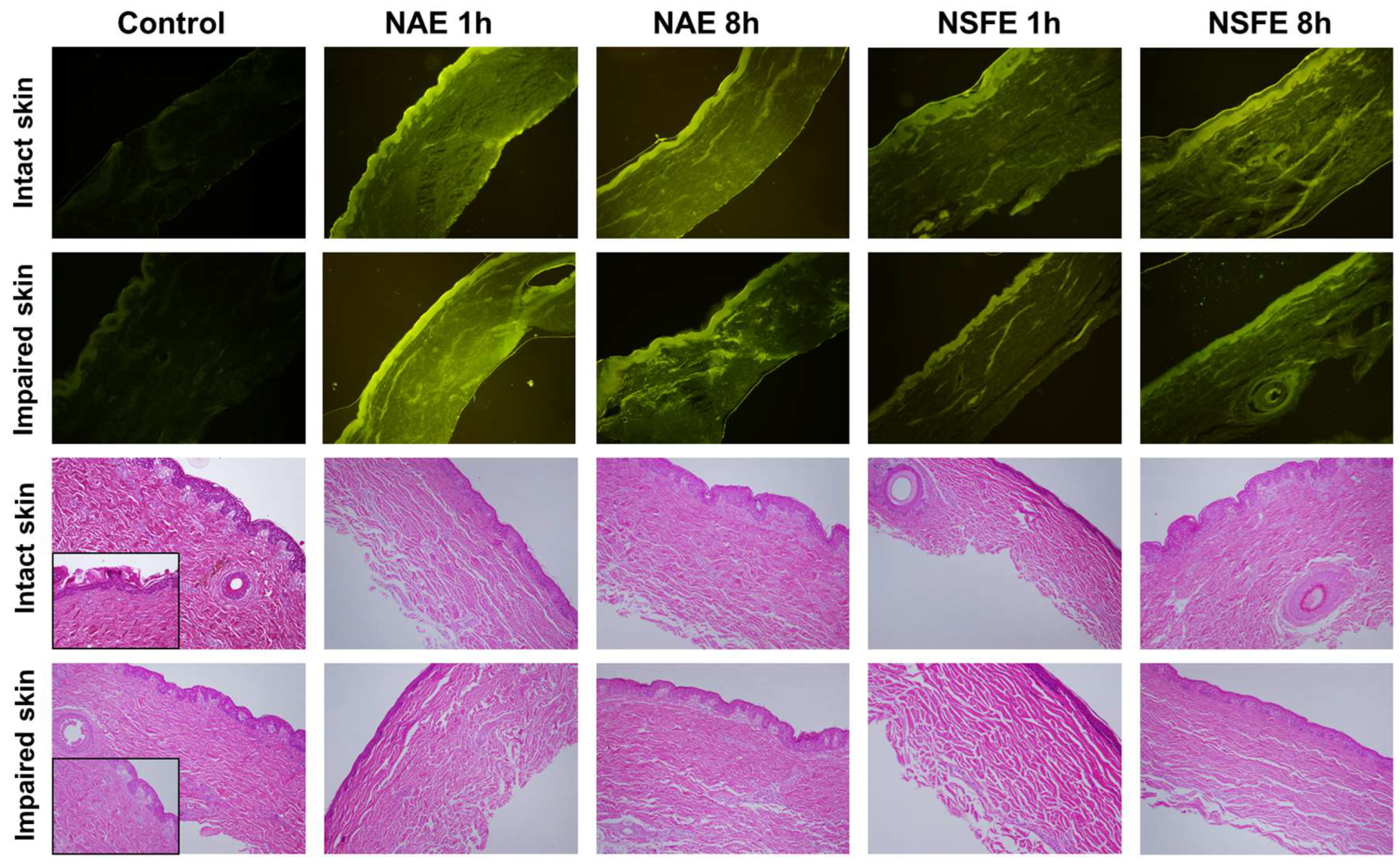 Pharmaceutics 16 00492 g003 Pharmaceutics 16 00492 g003