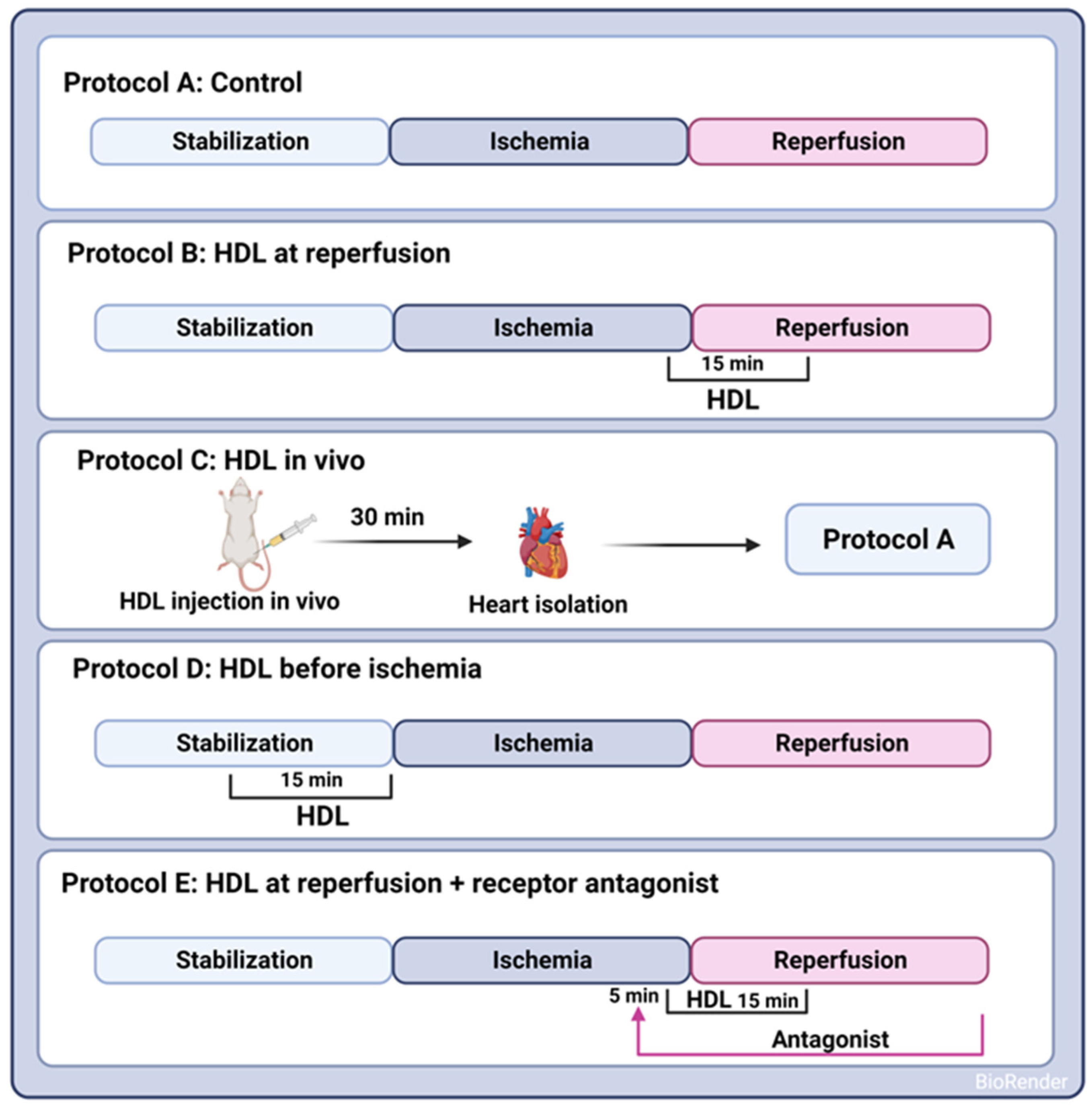 Pharmaceutics 16 00497 g001