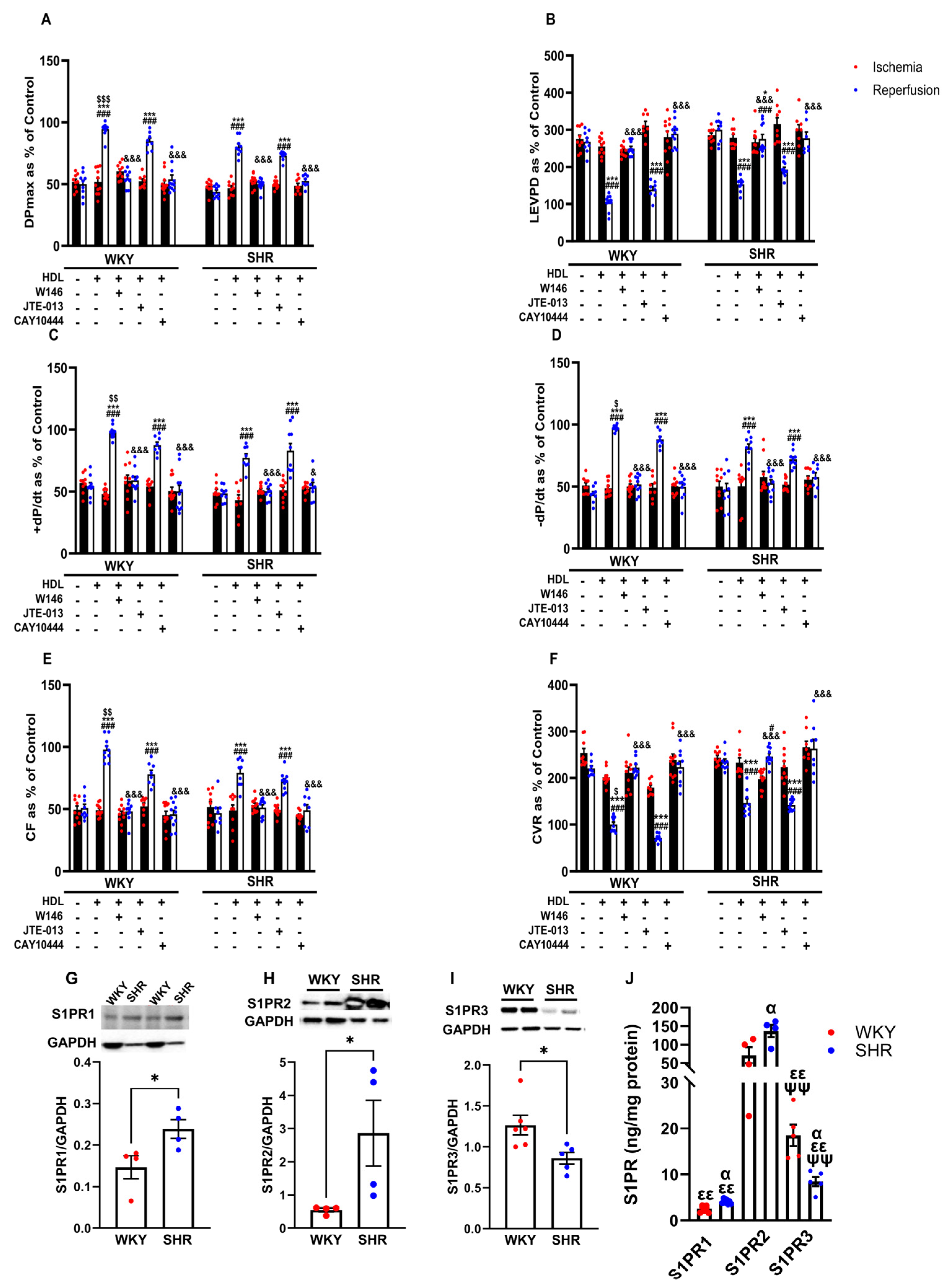 Pharmaceutics 16 00497 g004