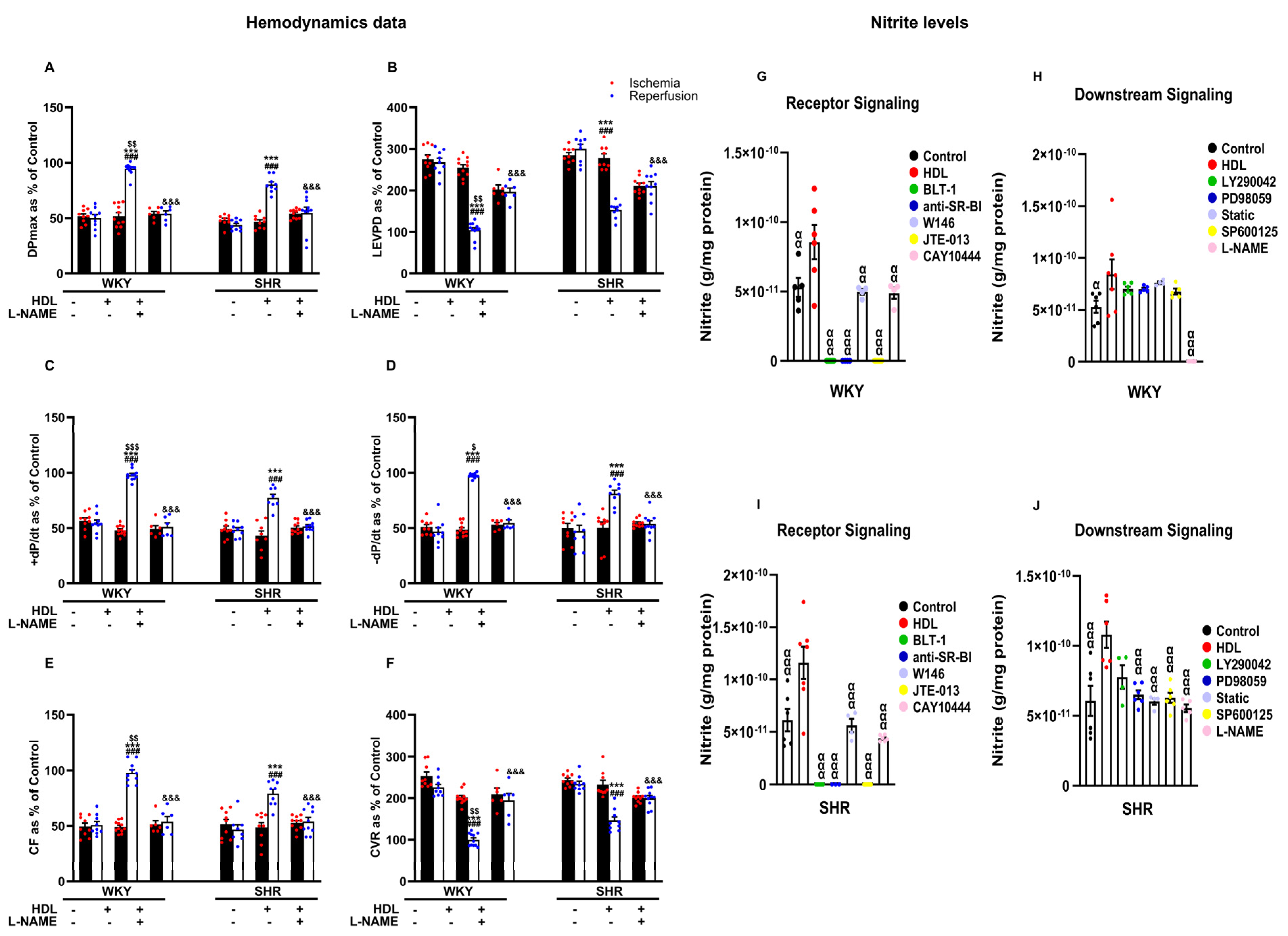 Pharmaceutics 16 00497 g006
