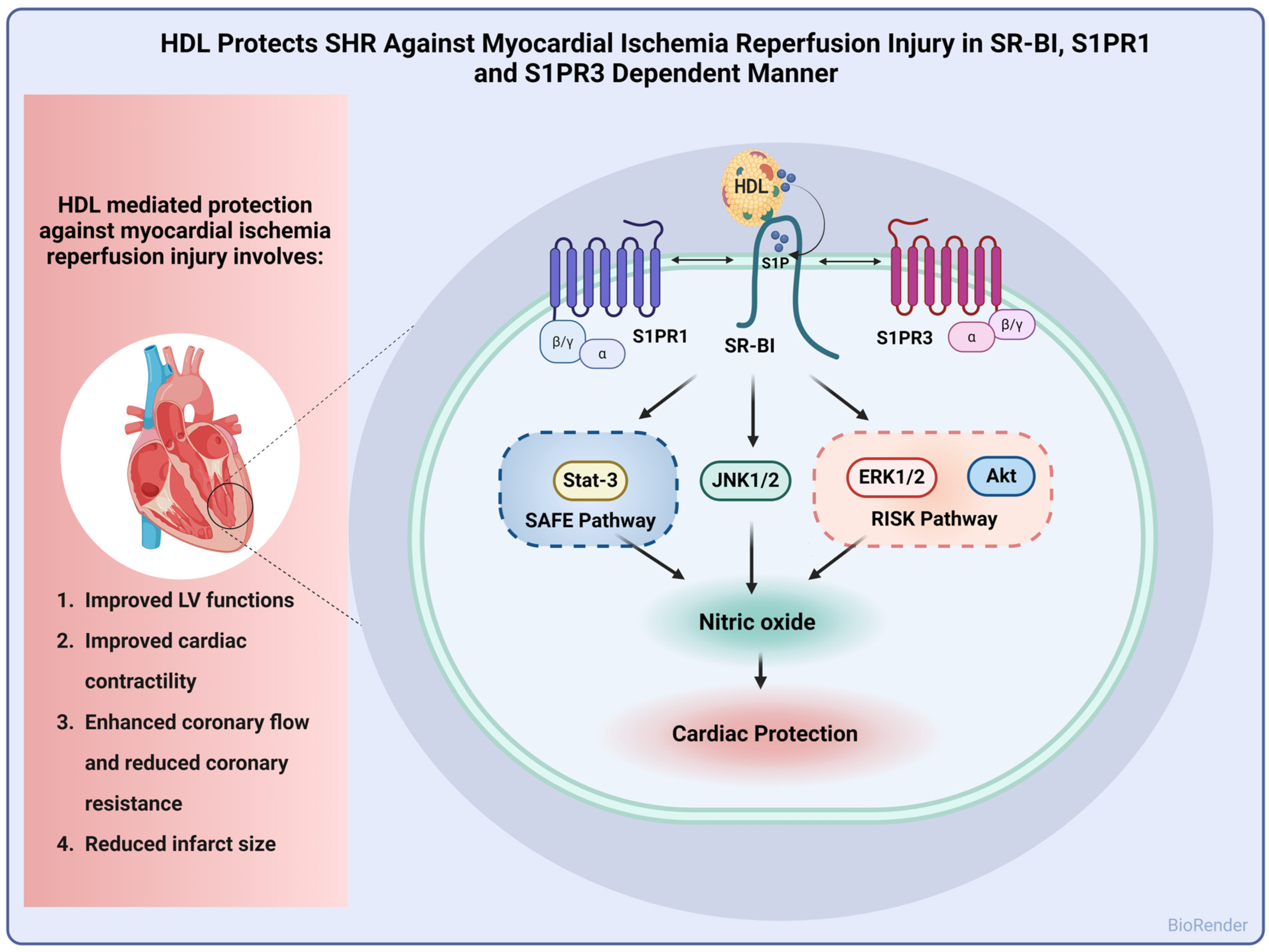 Pharmaceutics 16 00497 g007
