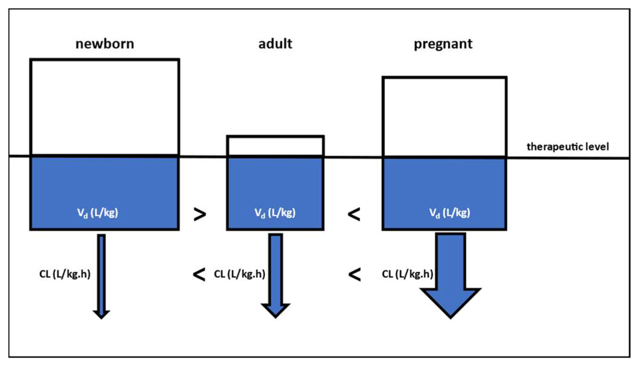 Pharmaceutics 16 00500 g001