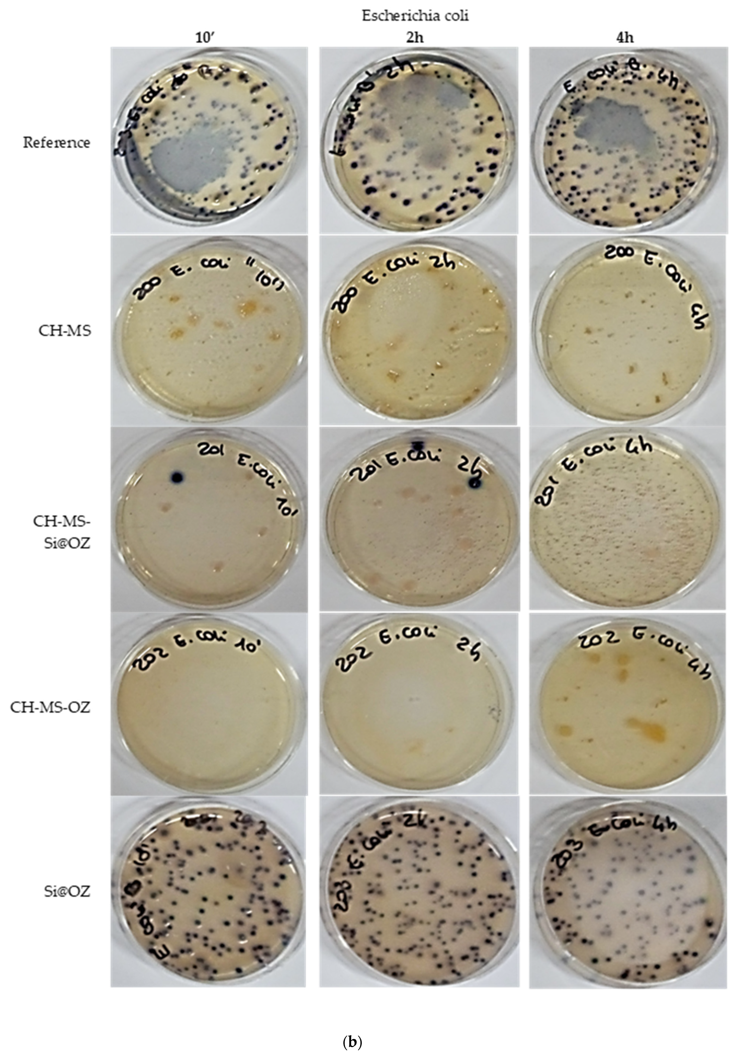 Pharmaceutics 16 00502 g009b