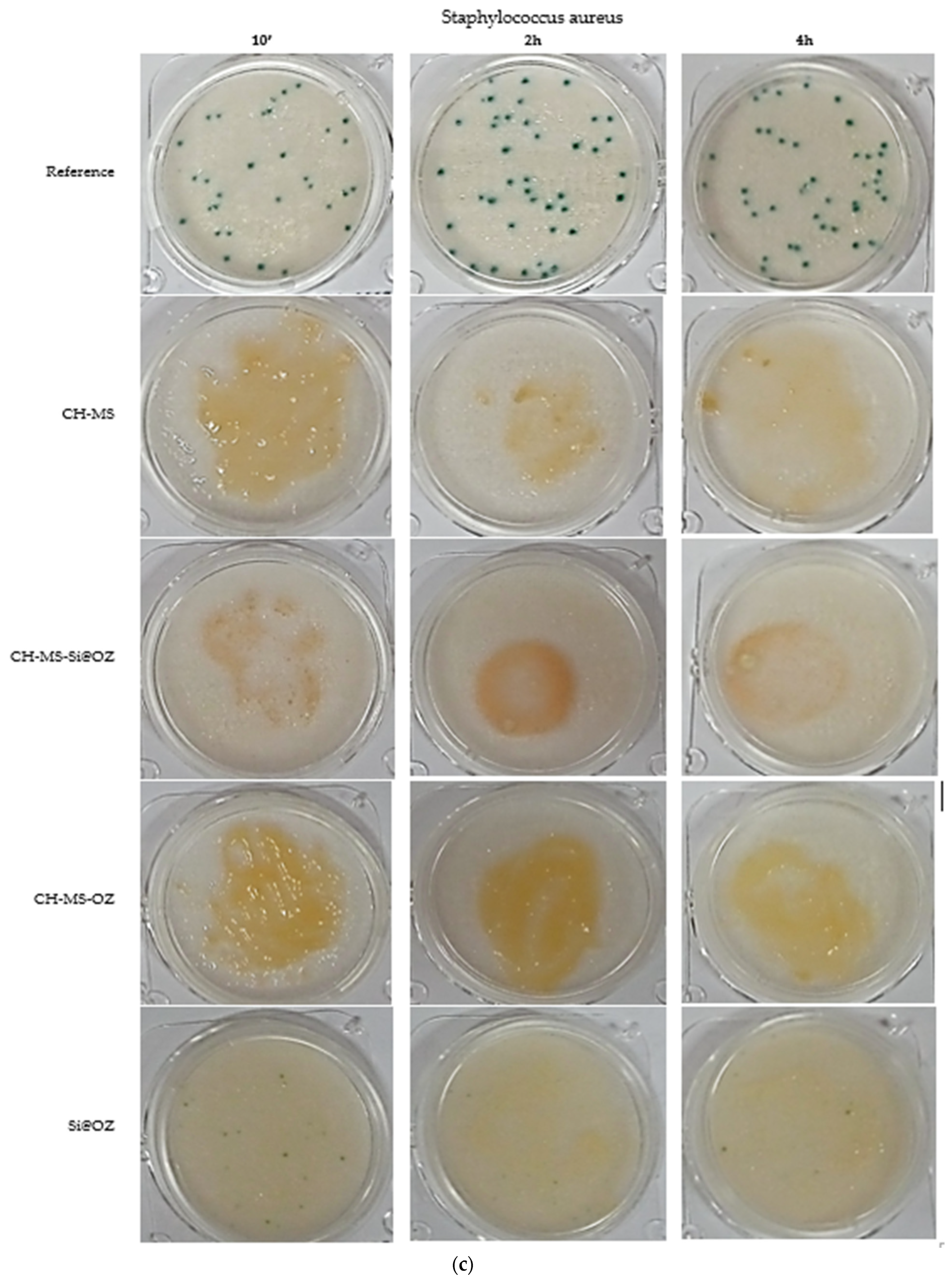 Pharmaceutics 16 00502 g009c