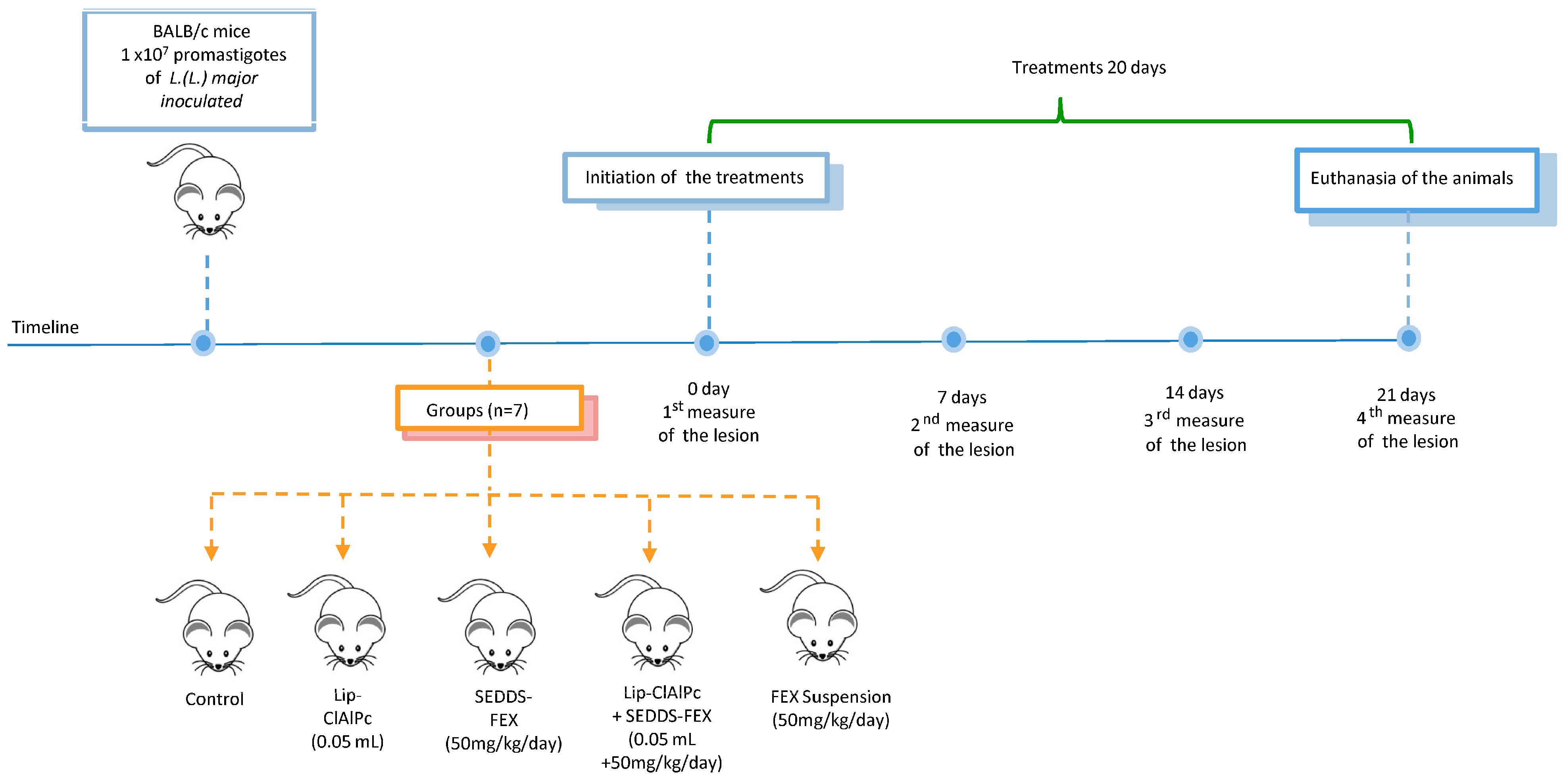 Pharmaceutics 16 00509 g001