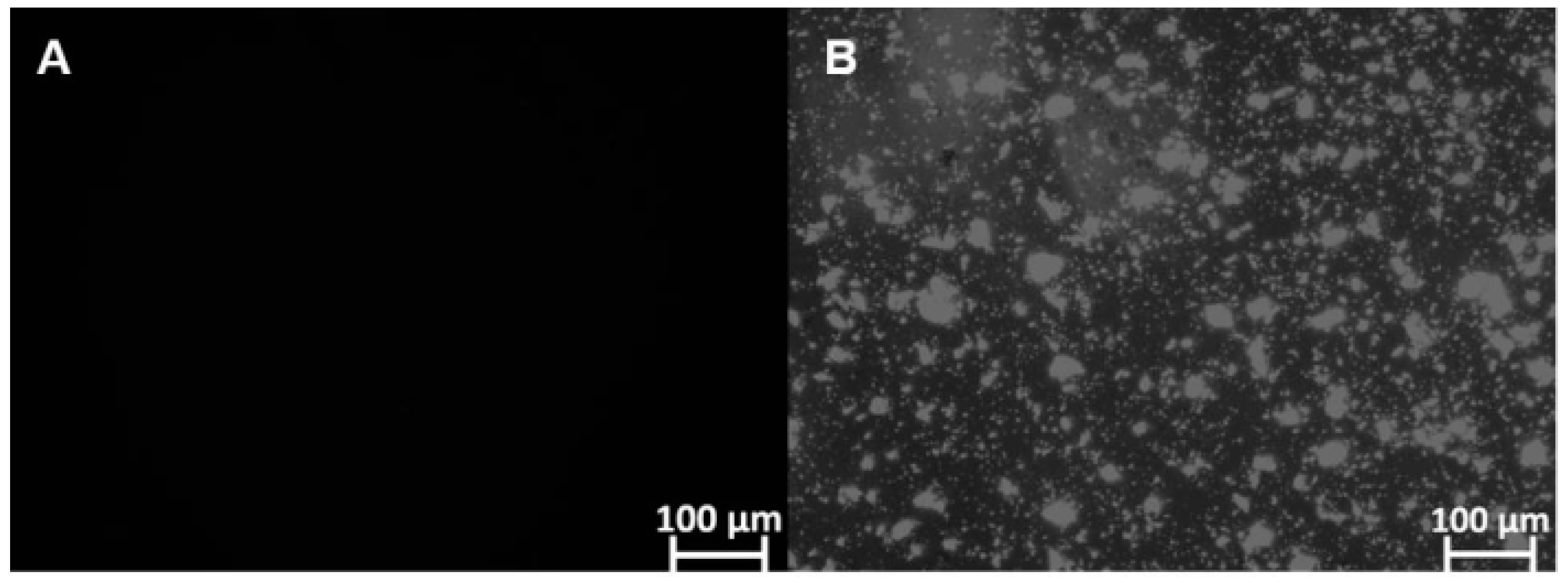 Pharmaceutics 16 00509 g002