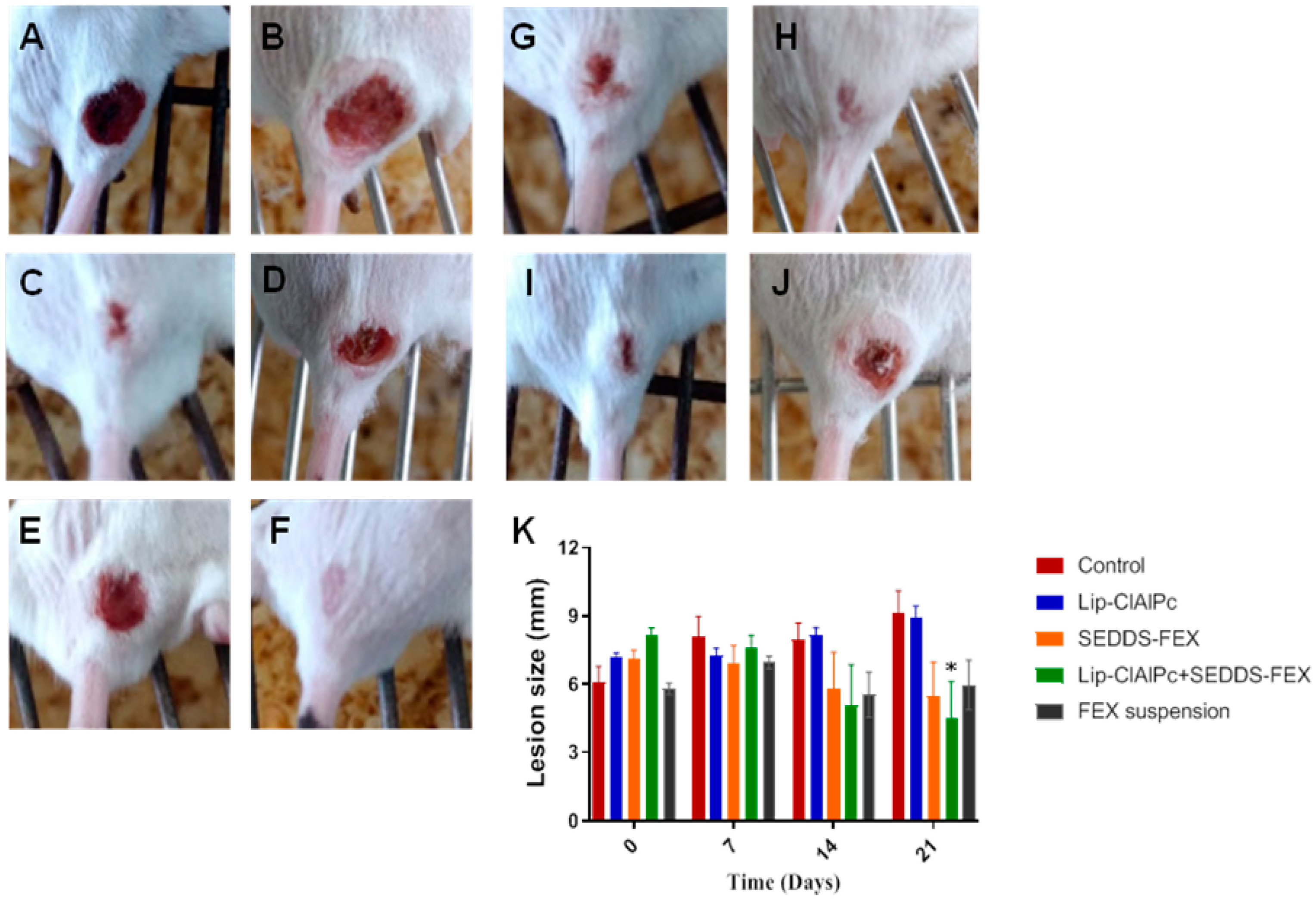 Pharmaceutics 16 00509 g004