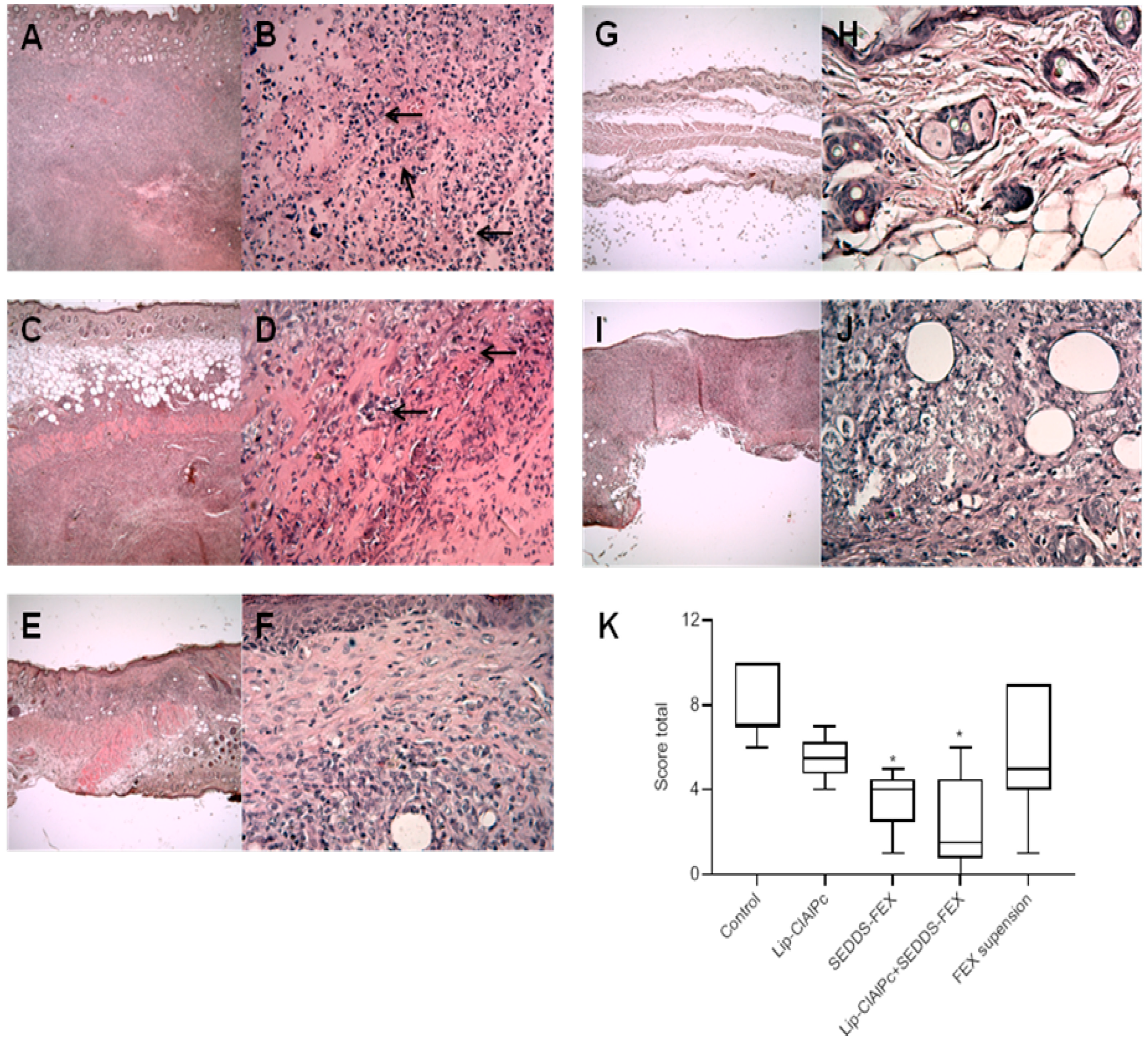 Pharmaceutics 16 00509 g005