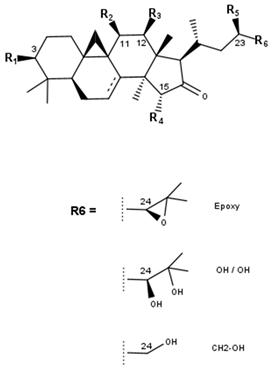 Pharmaceutics 16 00511 i001