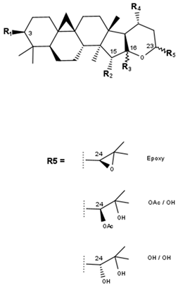 Pharmaceutics 16 00511 i002
