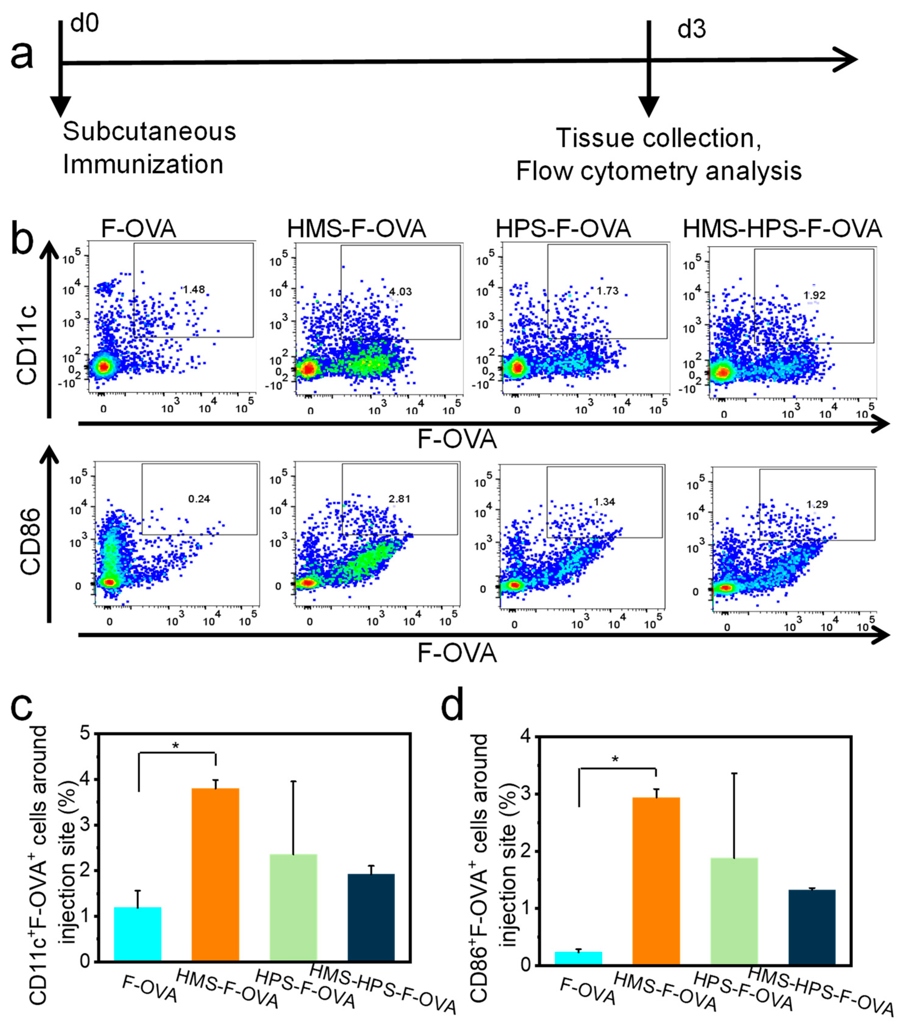 Pharmaceutics 16 00516 g003