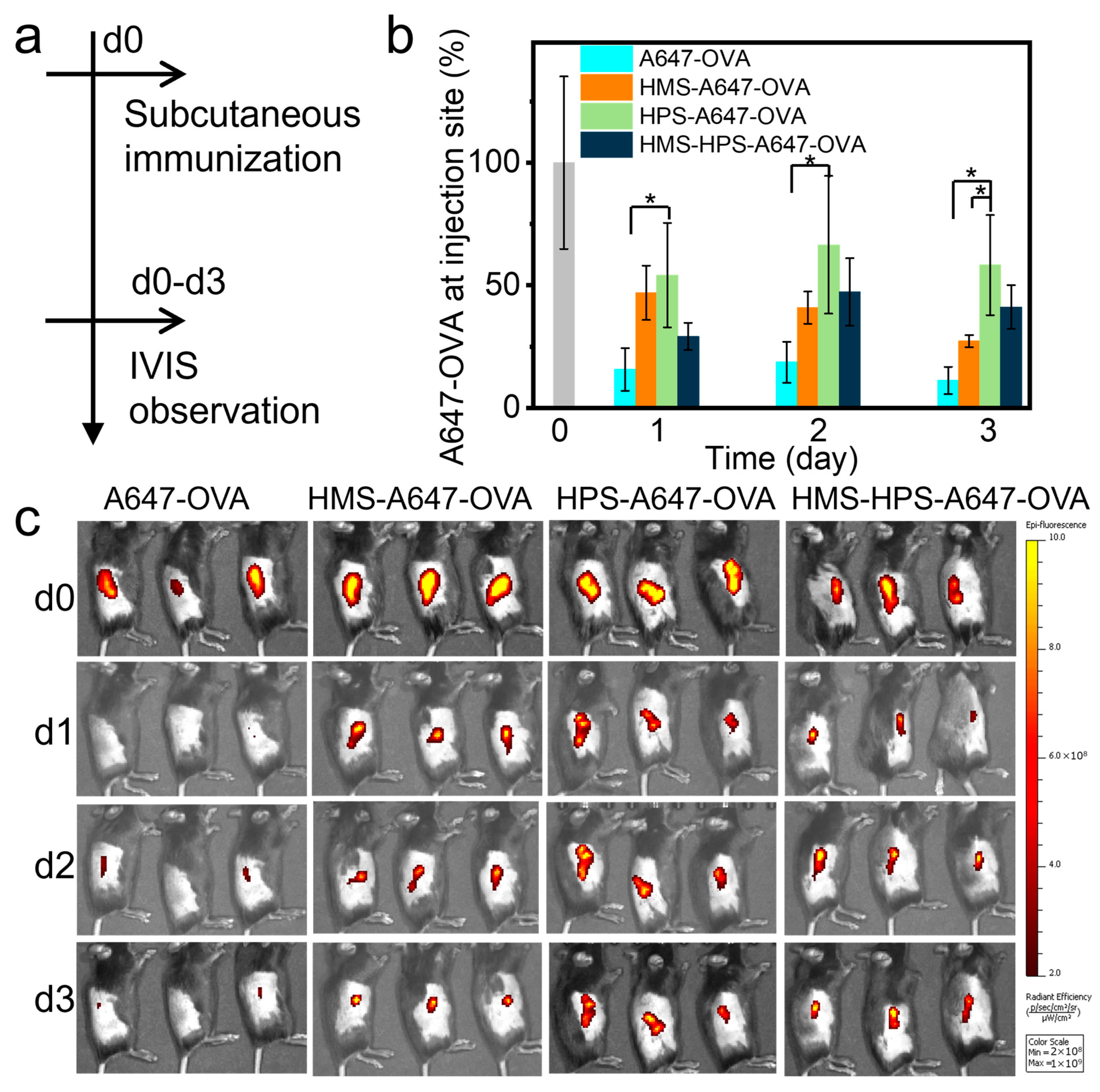 Pharmaceutics 16 00516 g004