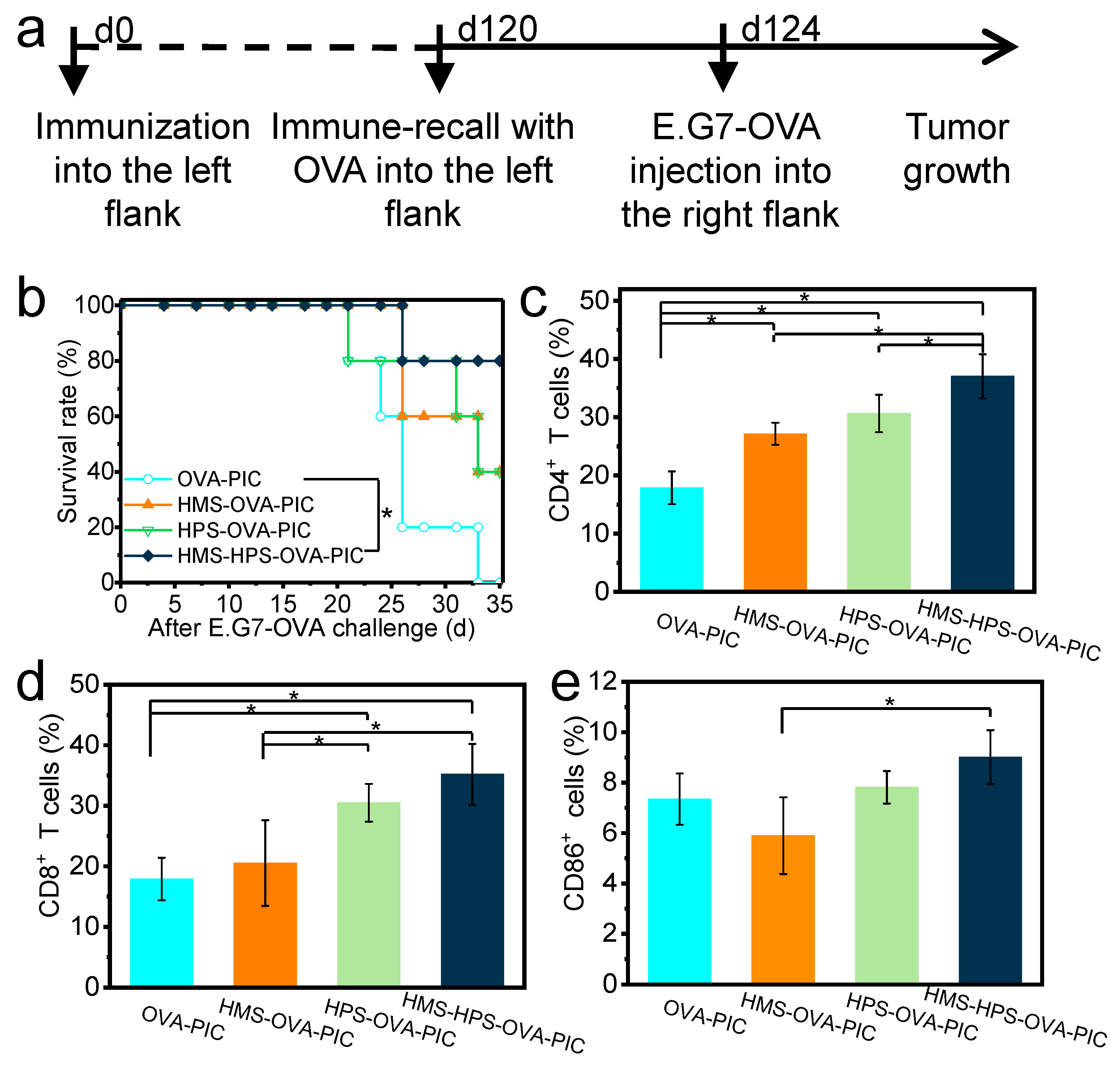 Pharmaceutics 16 00516 g005